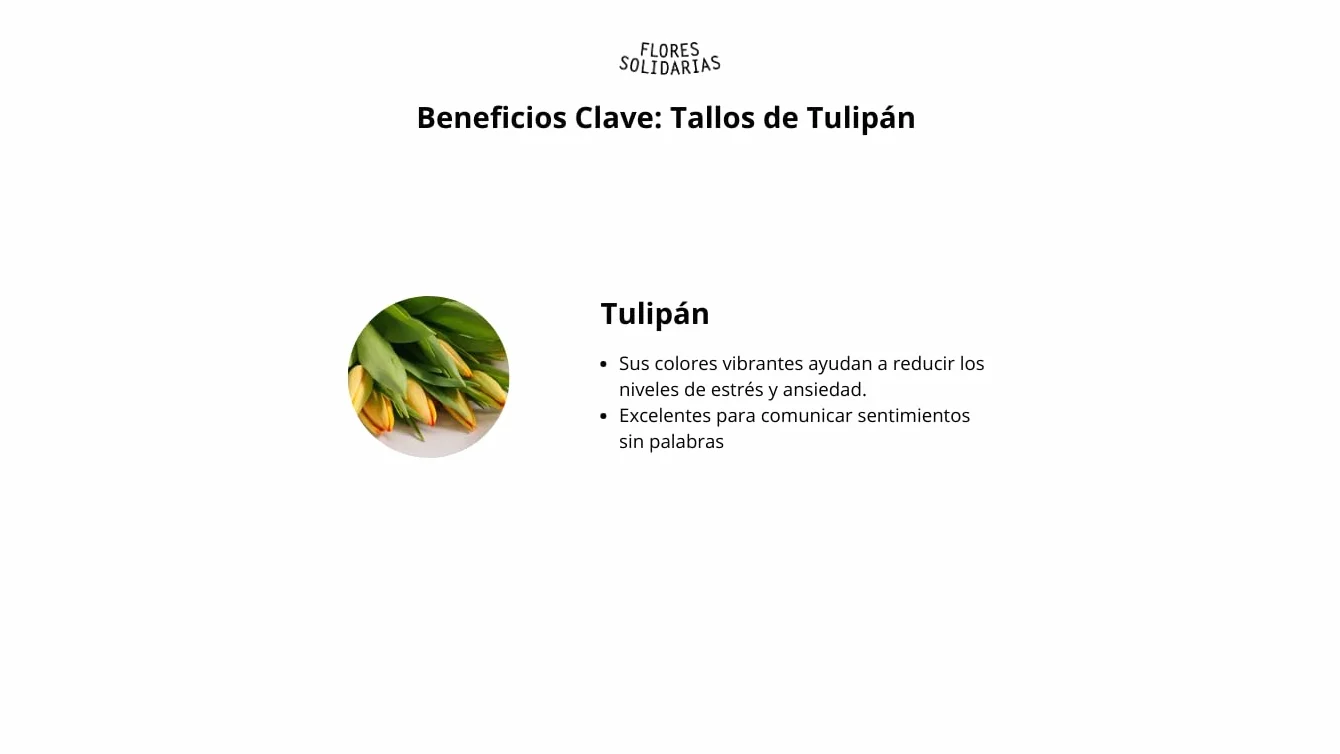 Ramo De Tulipanes Naturales - 10 Tulipanes Tallos Rosa - Flores Naturales A Domicilio - Regalos San Valentin