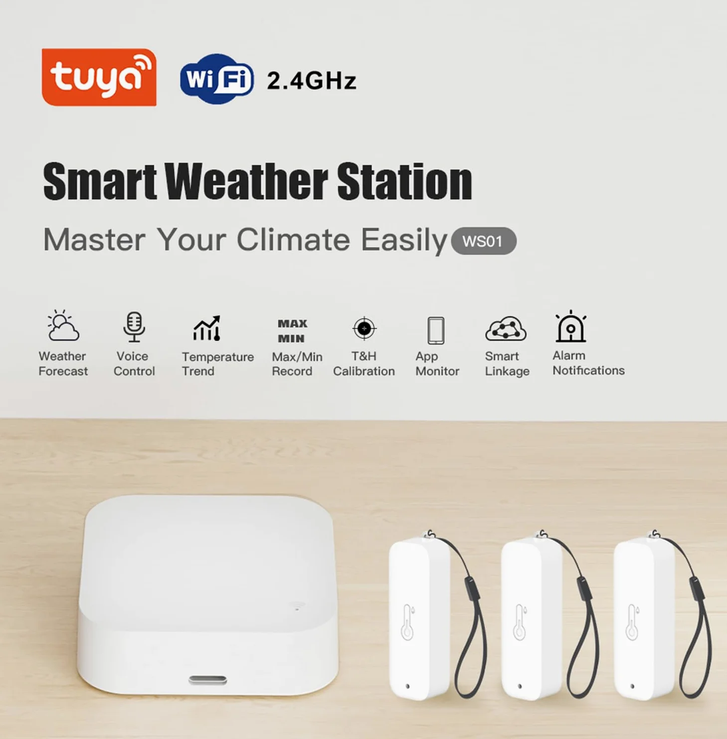Termómetro higrómetro WiFi para interiores y exteriores: sensor inteligente de temperatura y humedad con notificación de aplicación y almacenamiento de datos, alcance de 150 m, compatible con Alexa, 3