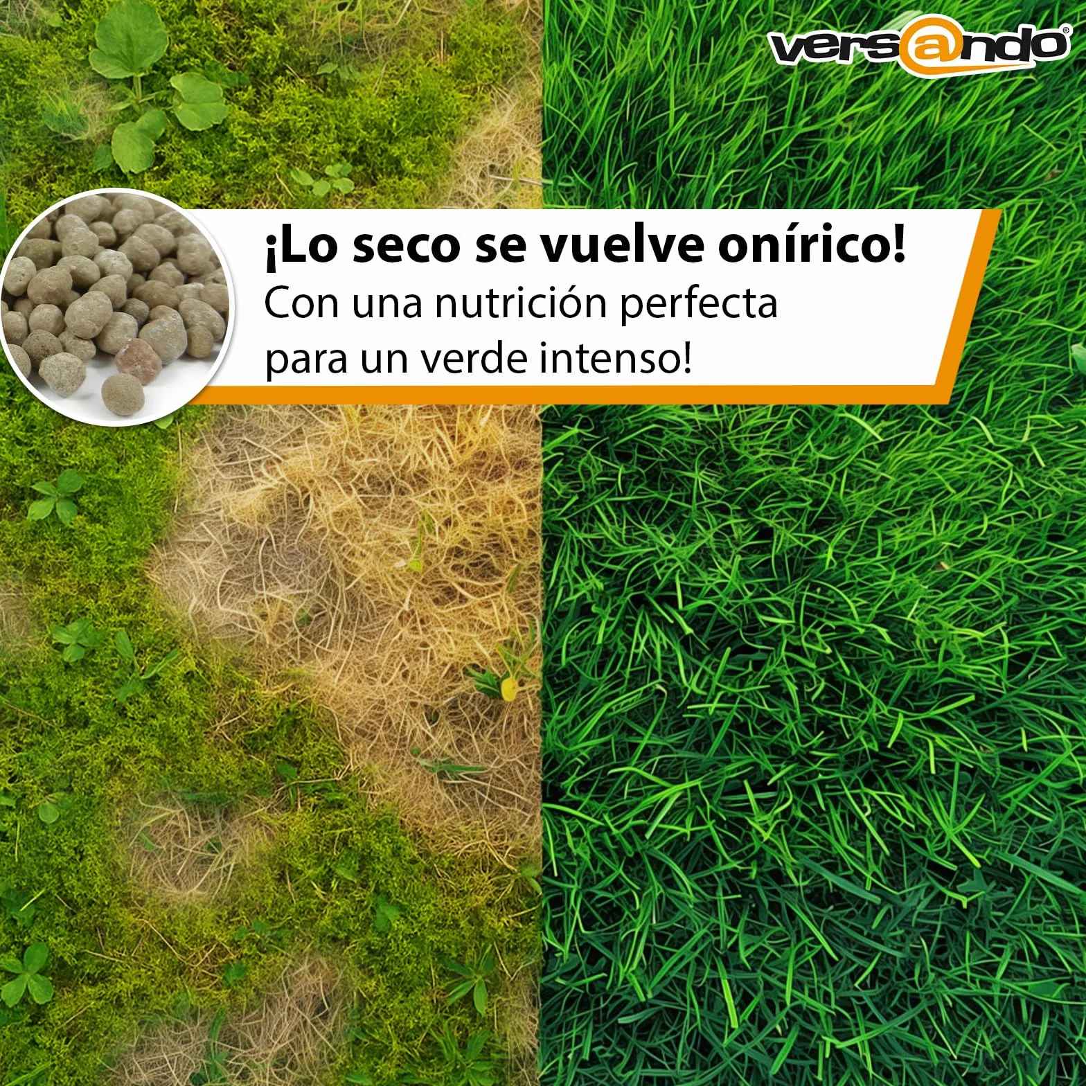 Versando Abono para Césped Verano 5kg 250m² Desplaza Musgo y Malas Hierbas