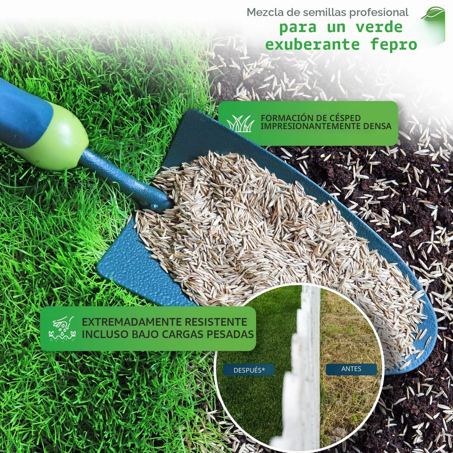 Semillas de césped 10 kg 400 m² germinación rápida color verde profundo para deportes y juegos