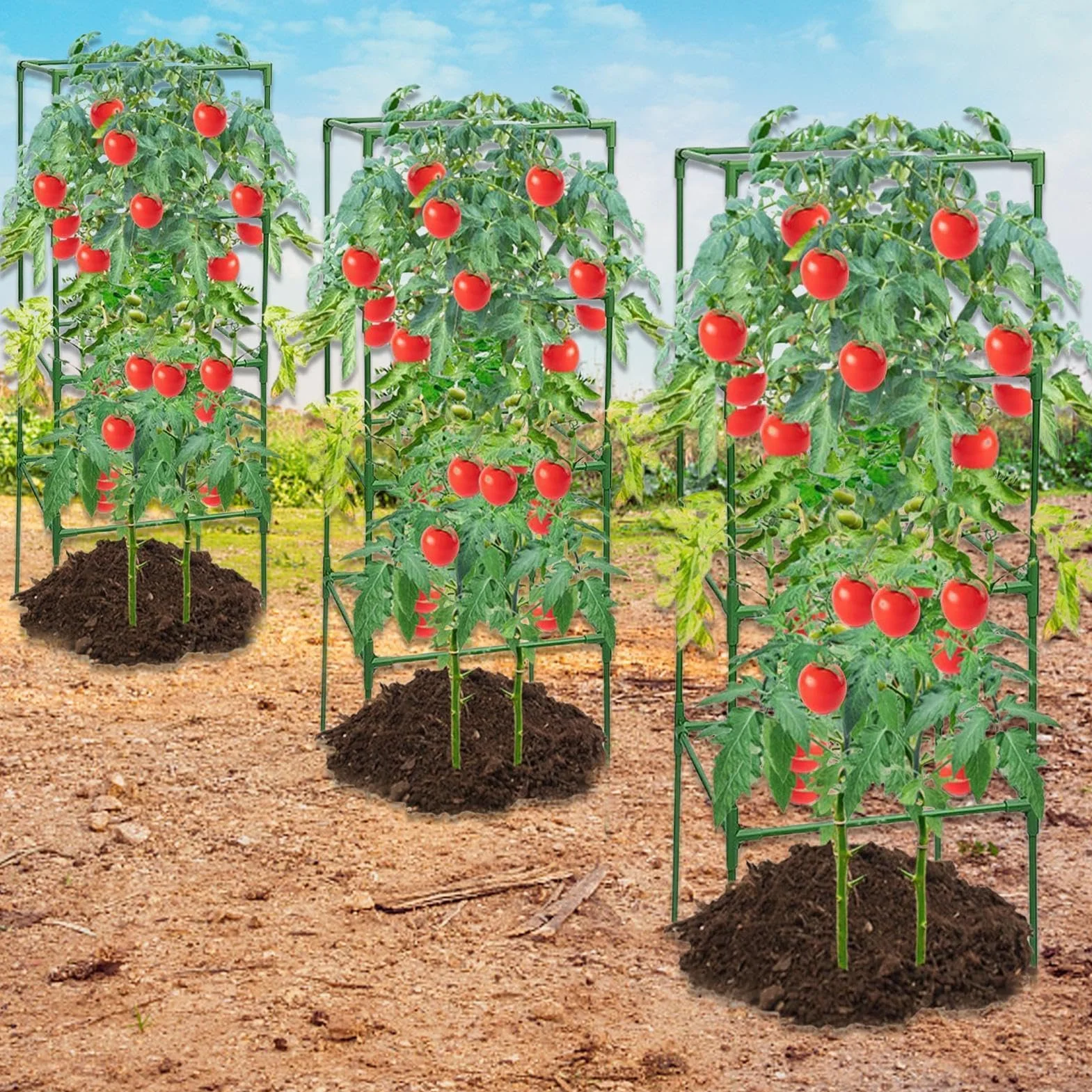 Entutorado para Tomates Soporte Cuadrado Ajustable en Altura de 3 Piezas | Tutor de Plantas Resistente para Judías Pepinos Verduras Rosas Peonías Macetas Bancal Elevado Jardín Patio Césped