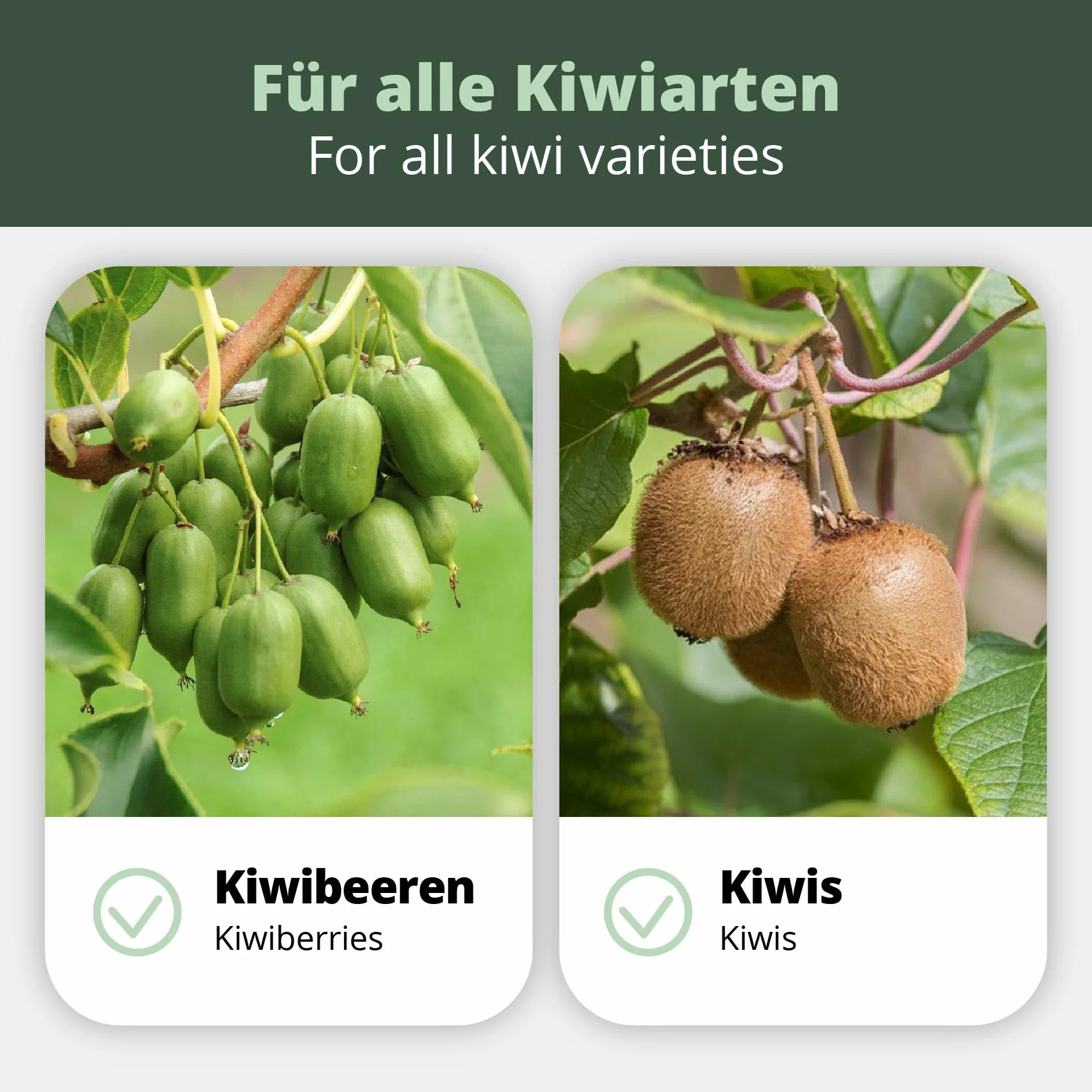 Kiwi Fertilizante para Actinidia 1 litro abono especial para kiwis
