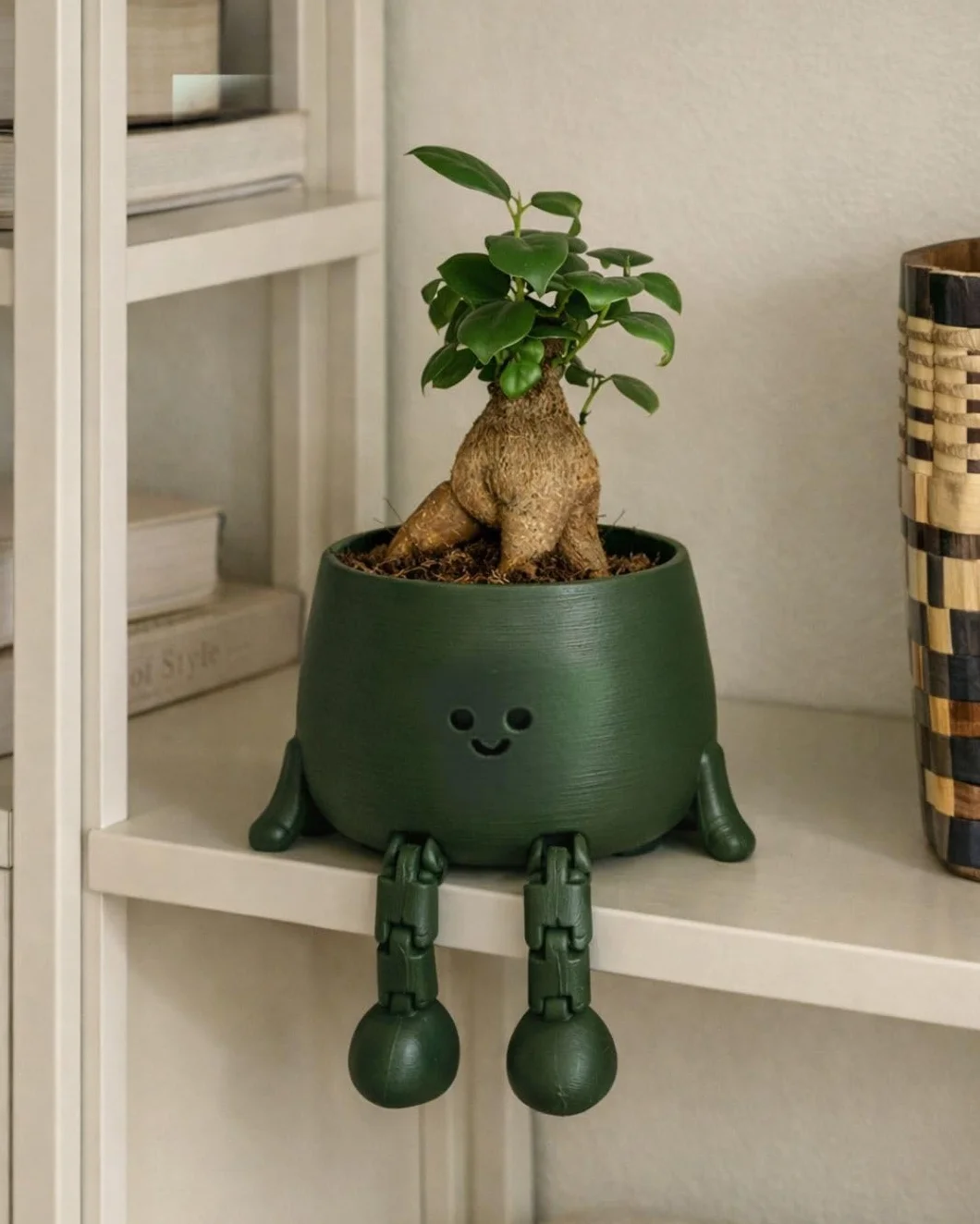 Ficus Microcarpa Mini Bonsái Natural Planta Tropical Maceta Ø6 cm
