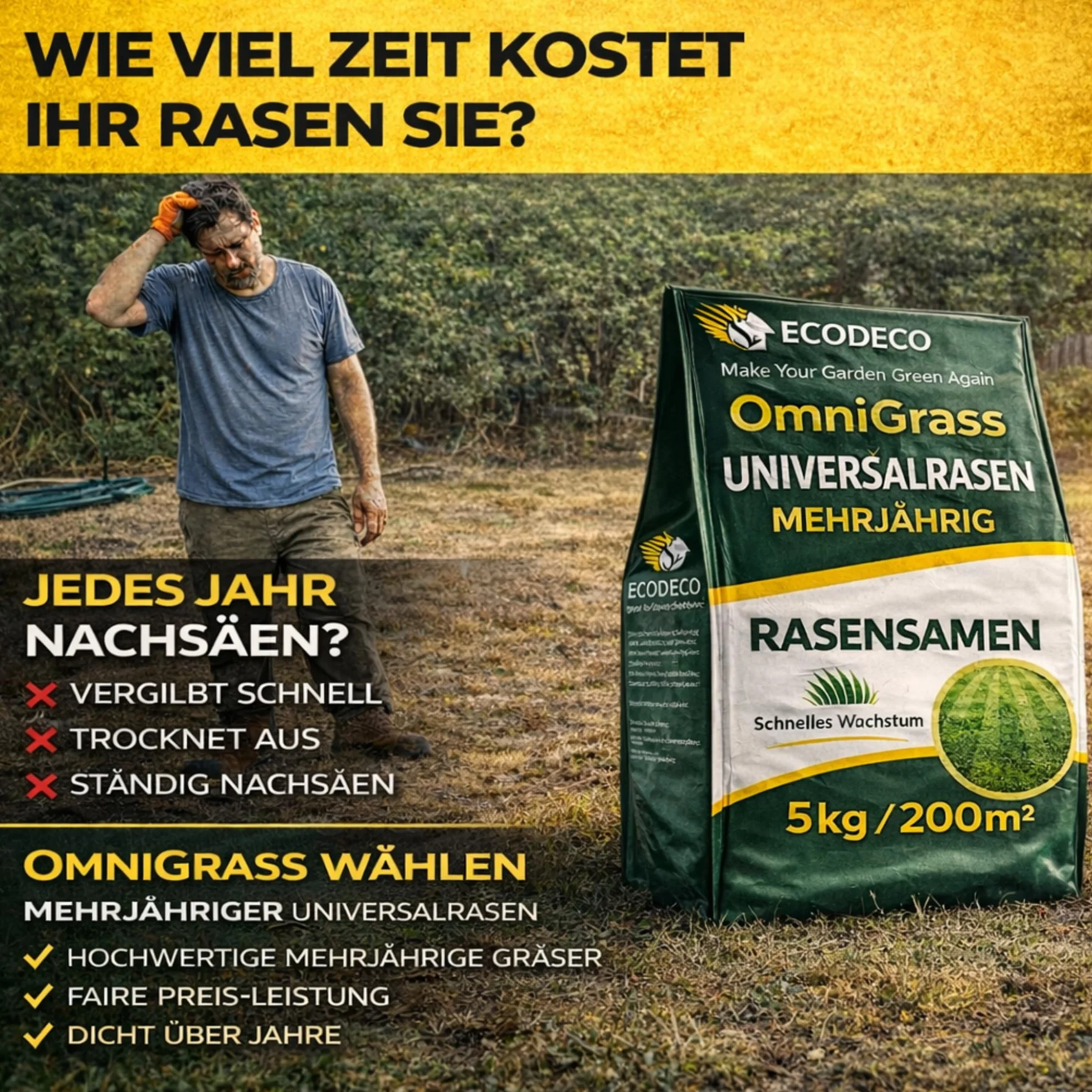 Semillas de Césped Universal 5 kg para 200 m² – Raigrás 50% Sombra, Regeneración Rápida
