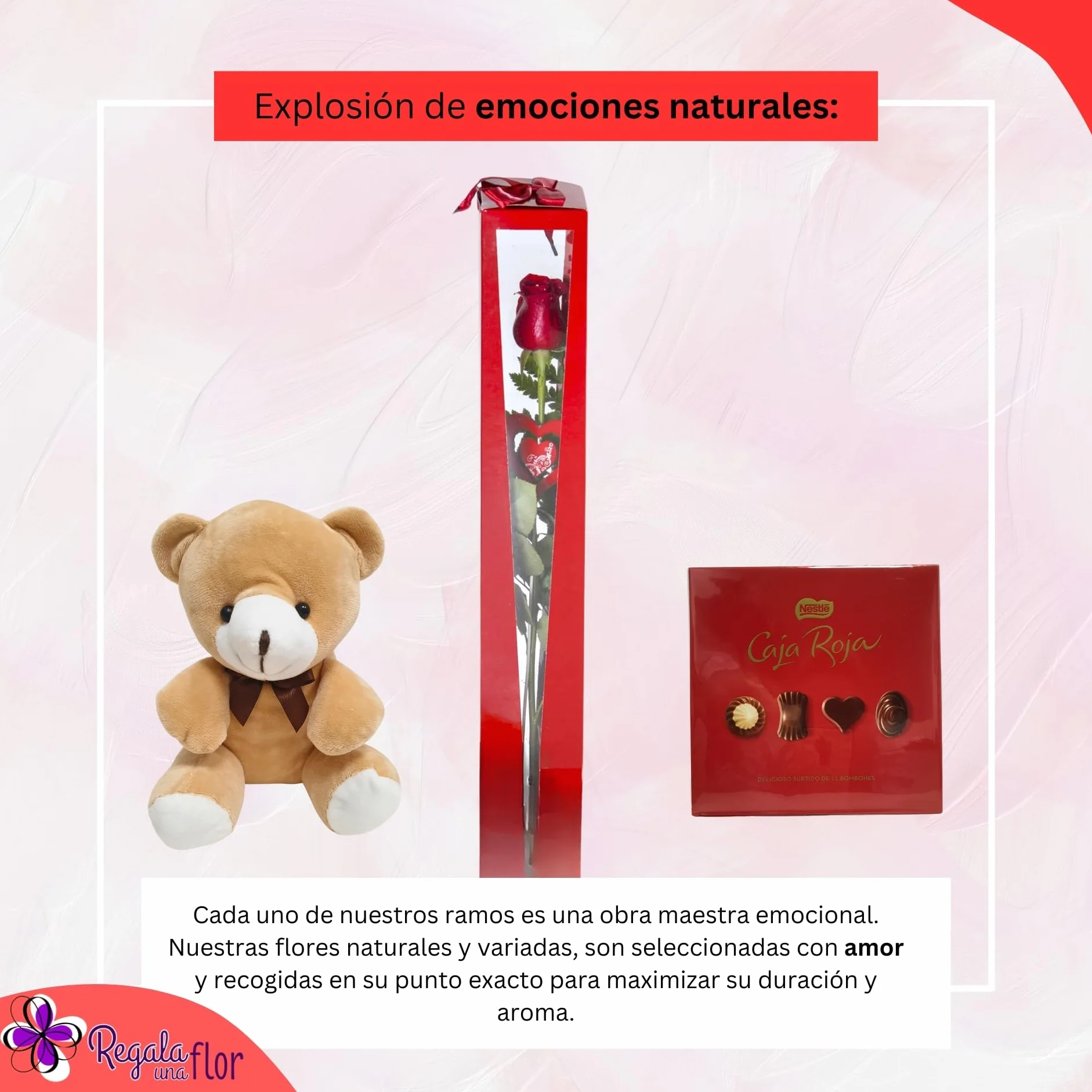 Regalo Una Flor Rosas Naturales a Domicilio Pack Deluxe