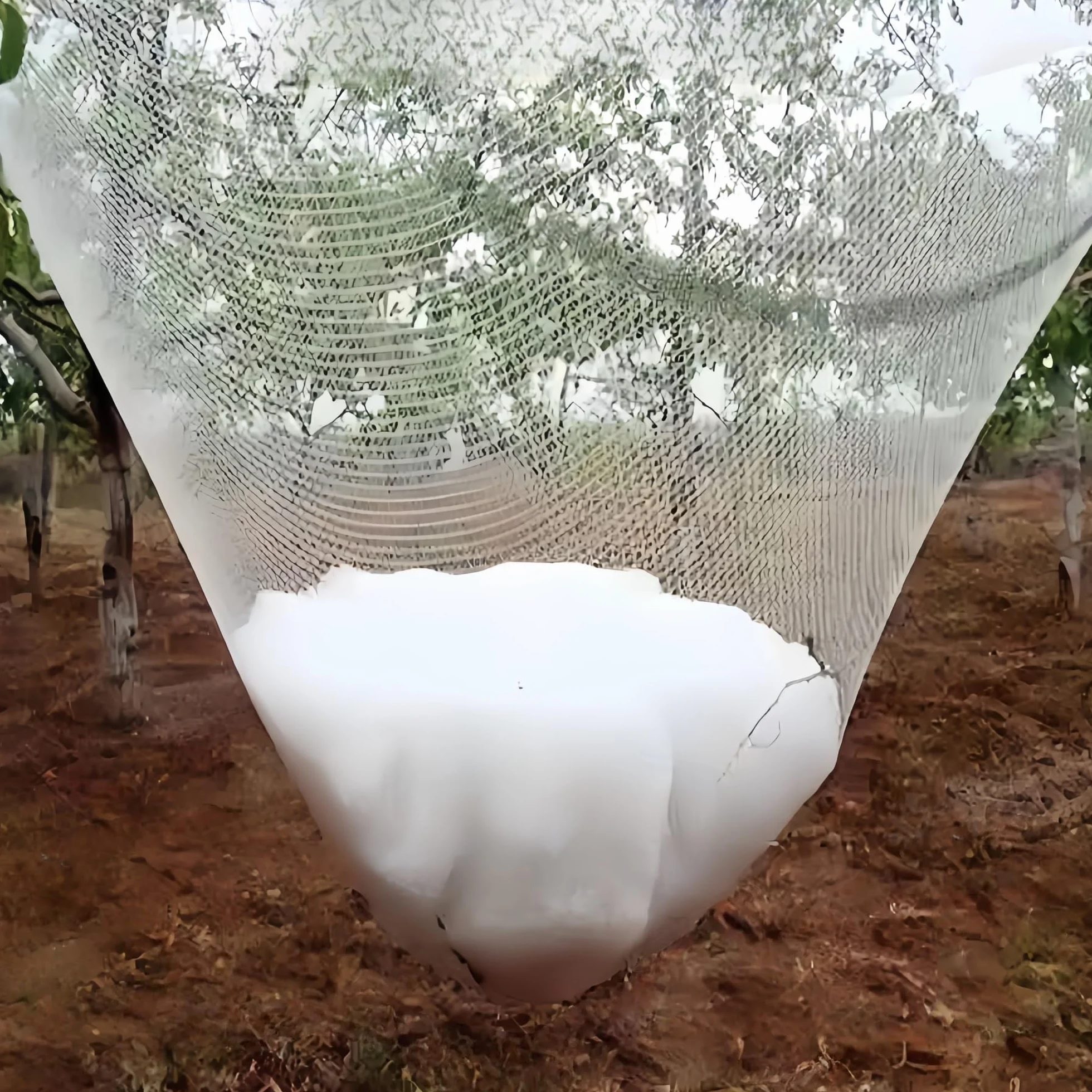 Malla Antigranizo Alta Resistencia Hilos Reforzados, Resistente al Rasgado Rayos UV Malla Antipajaros, Malla de 5 mm para Frutas y Verduras, Jardines, Plantas, Anti-Pájaros(4 x 10m)