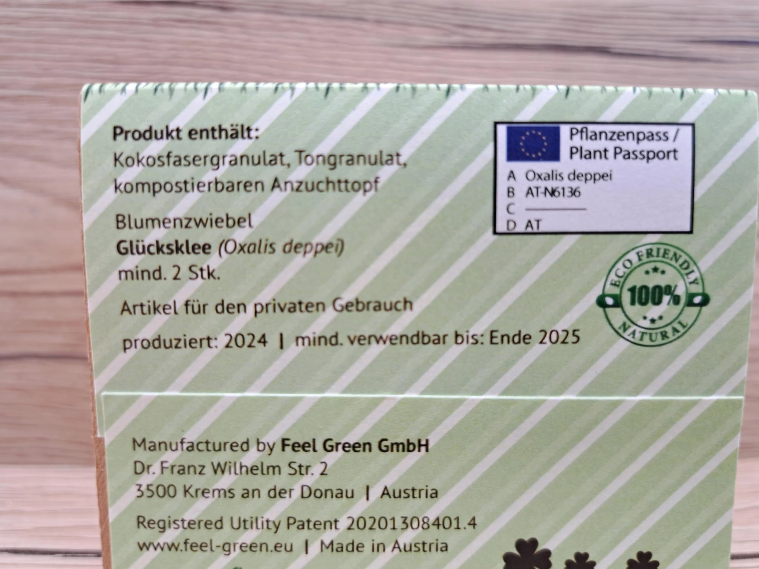Feel Green Celebrations Ecocube trébol de la Suerte Cubo de Madera con Grabado láser Set de Cultivo