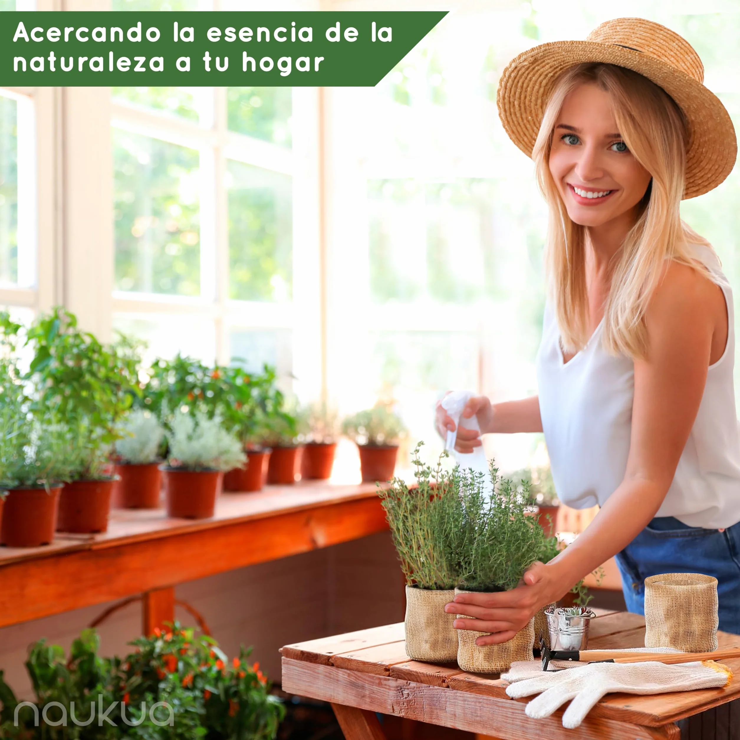 Kit Vintage Bonsai 4x Especies Semillas Orgánicas Guía Completa Plantación