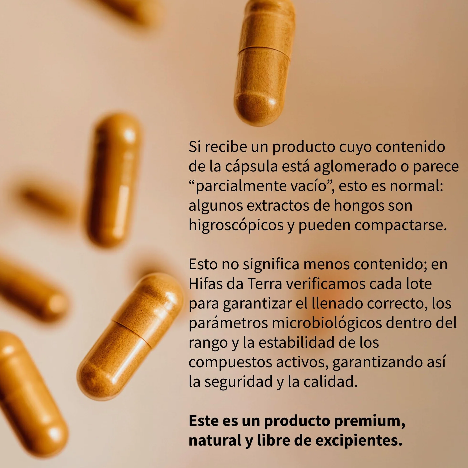 HIFAS DA TERRA Mico-Sol Extracto Puro de Champiñón de Sol + Vitamina C natural - 70 Cápsulas