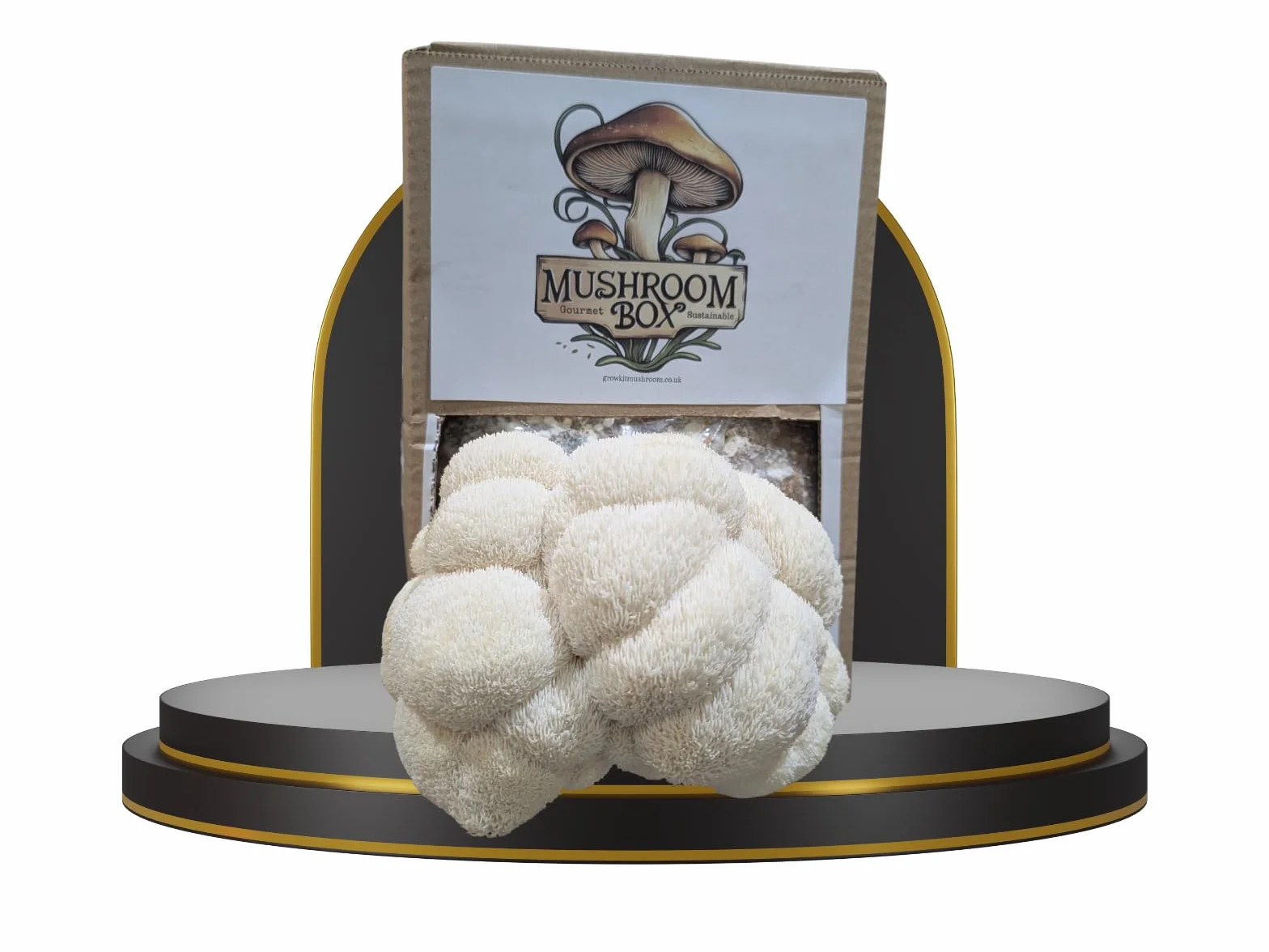 Nutrition Geeks Kit de cultivo de setas Lion's Mane Hericium erinaceus 1,8 kg