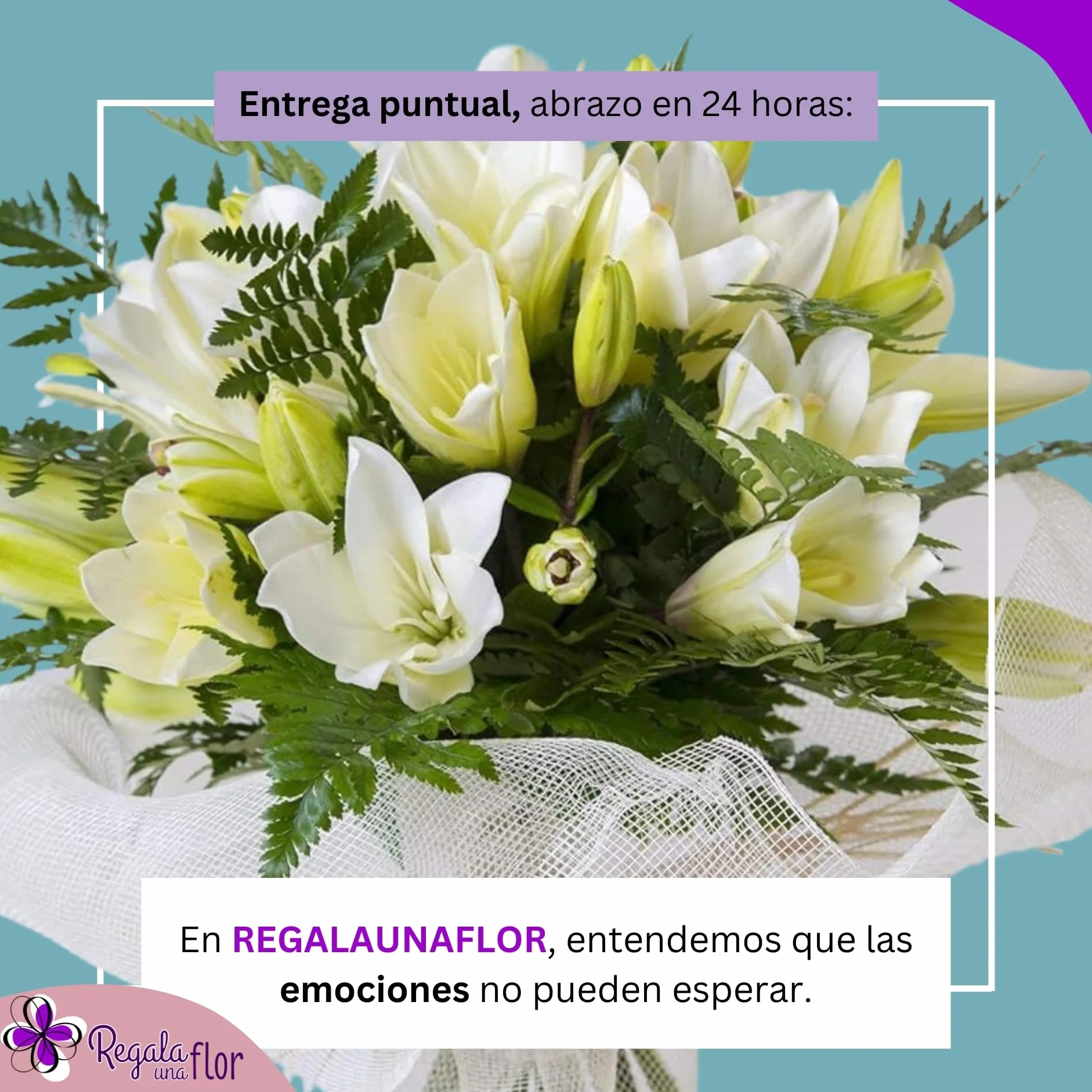 Ramo de flores naturales a domicilio Lilium blanco con tarjeta de dedicatoria