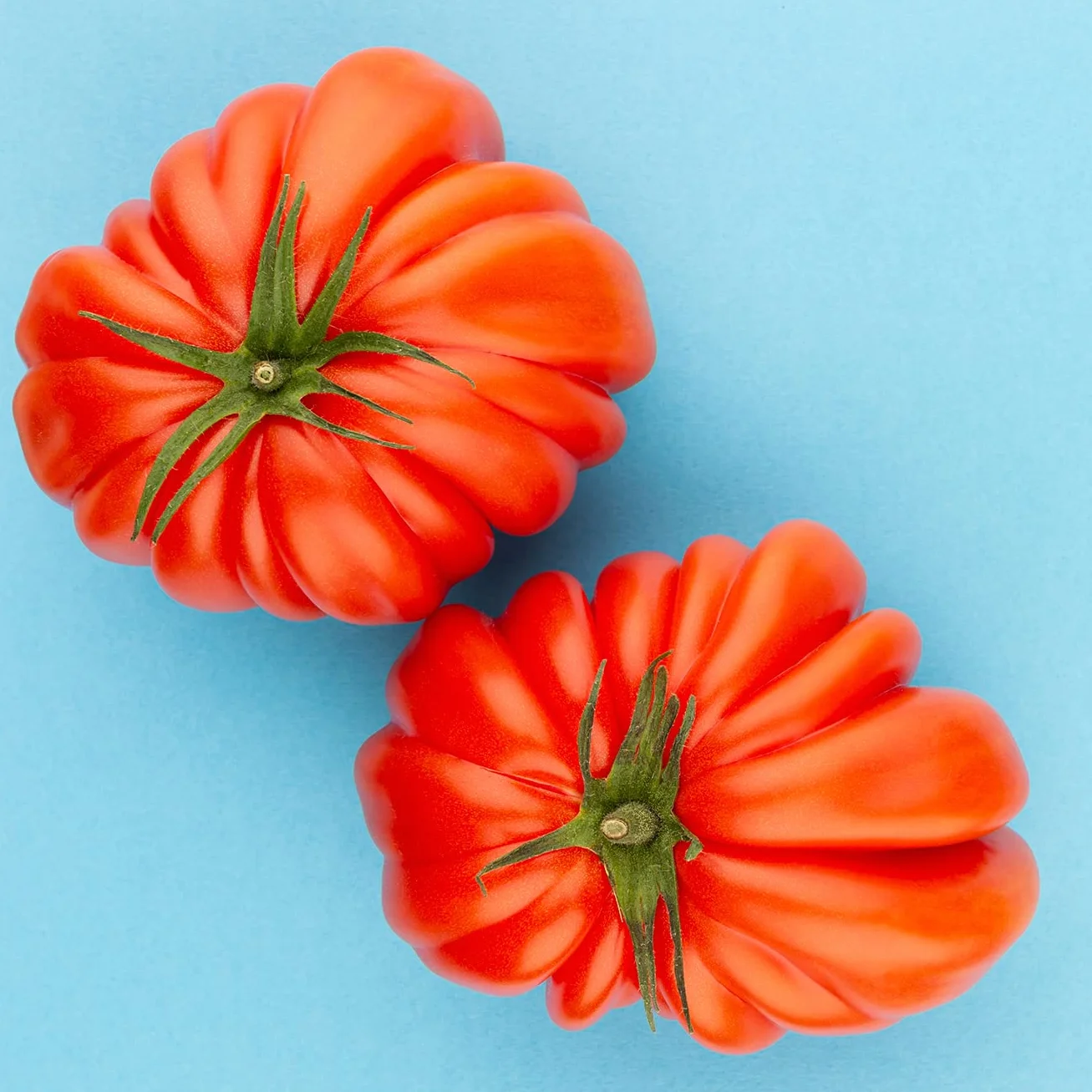 Mini Huerto de Tomates Cherry, Corazón de Buey y Raf - Huerto Urbano