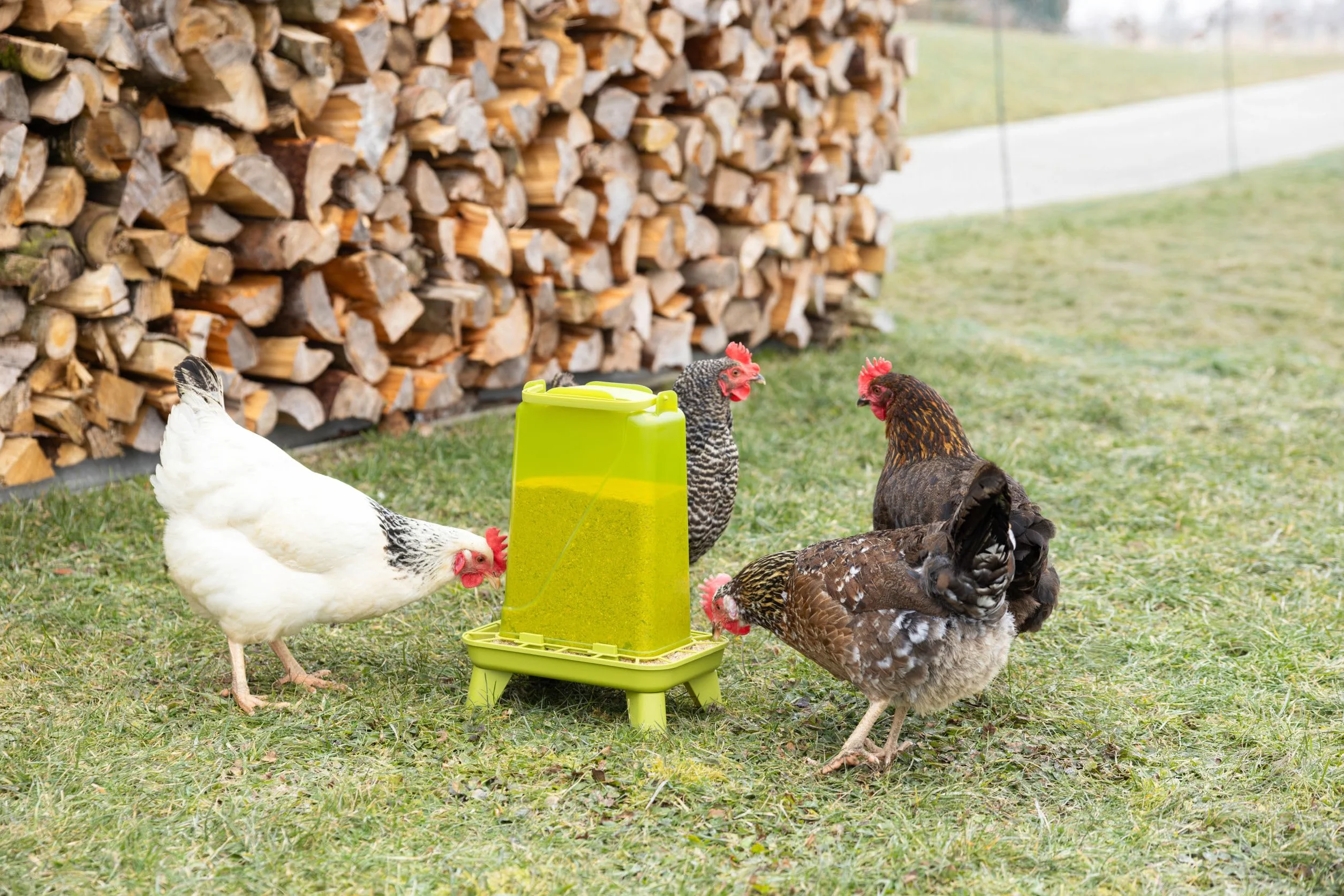 Kerbl Comedero automático para Aves 5,5 l Plástico 19,5x28,5x39,5 cm