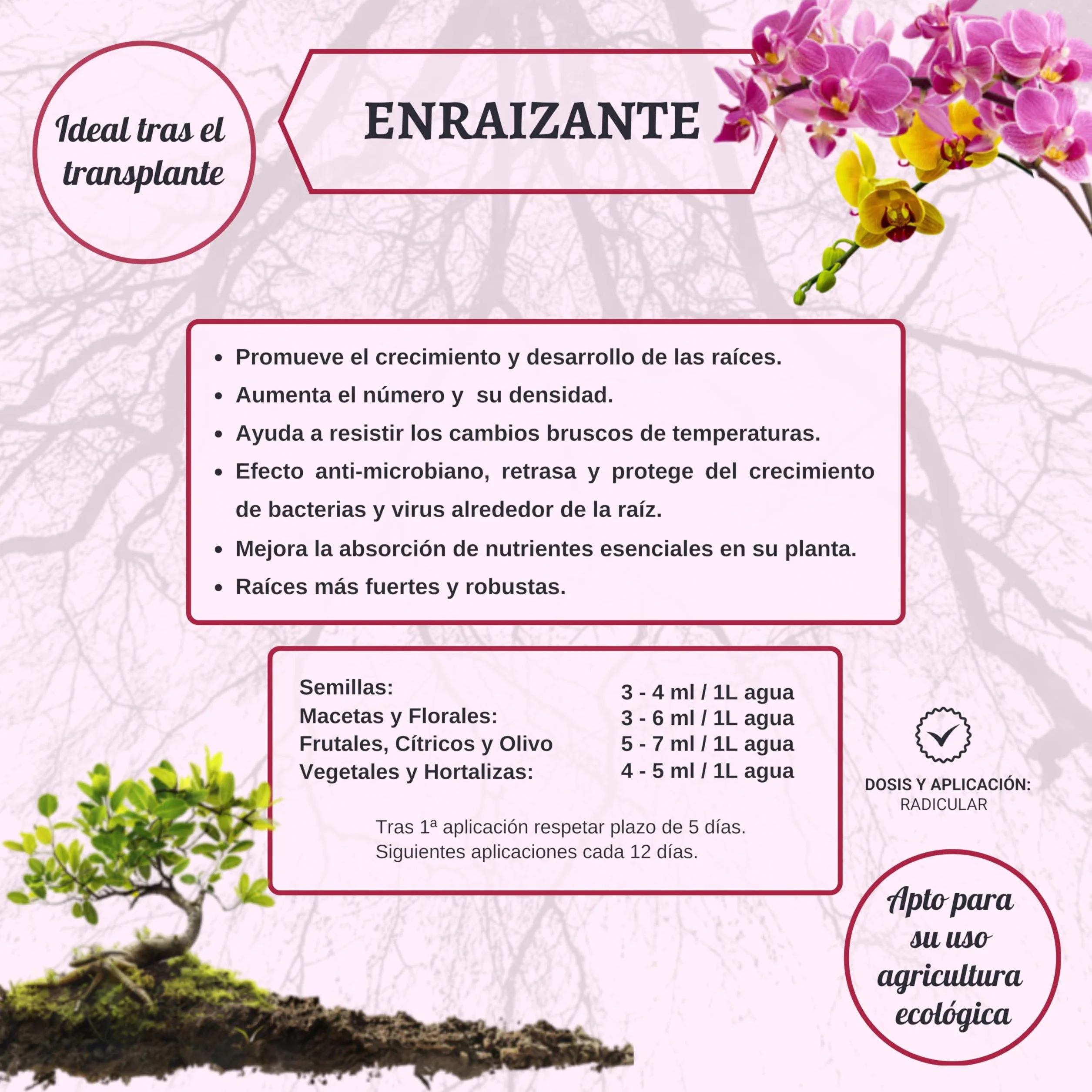 Enraizante para Esquejes 5 Litros Hormonas Enraizamiento Ecológico Potente Crecimiento Radicular