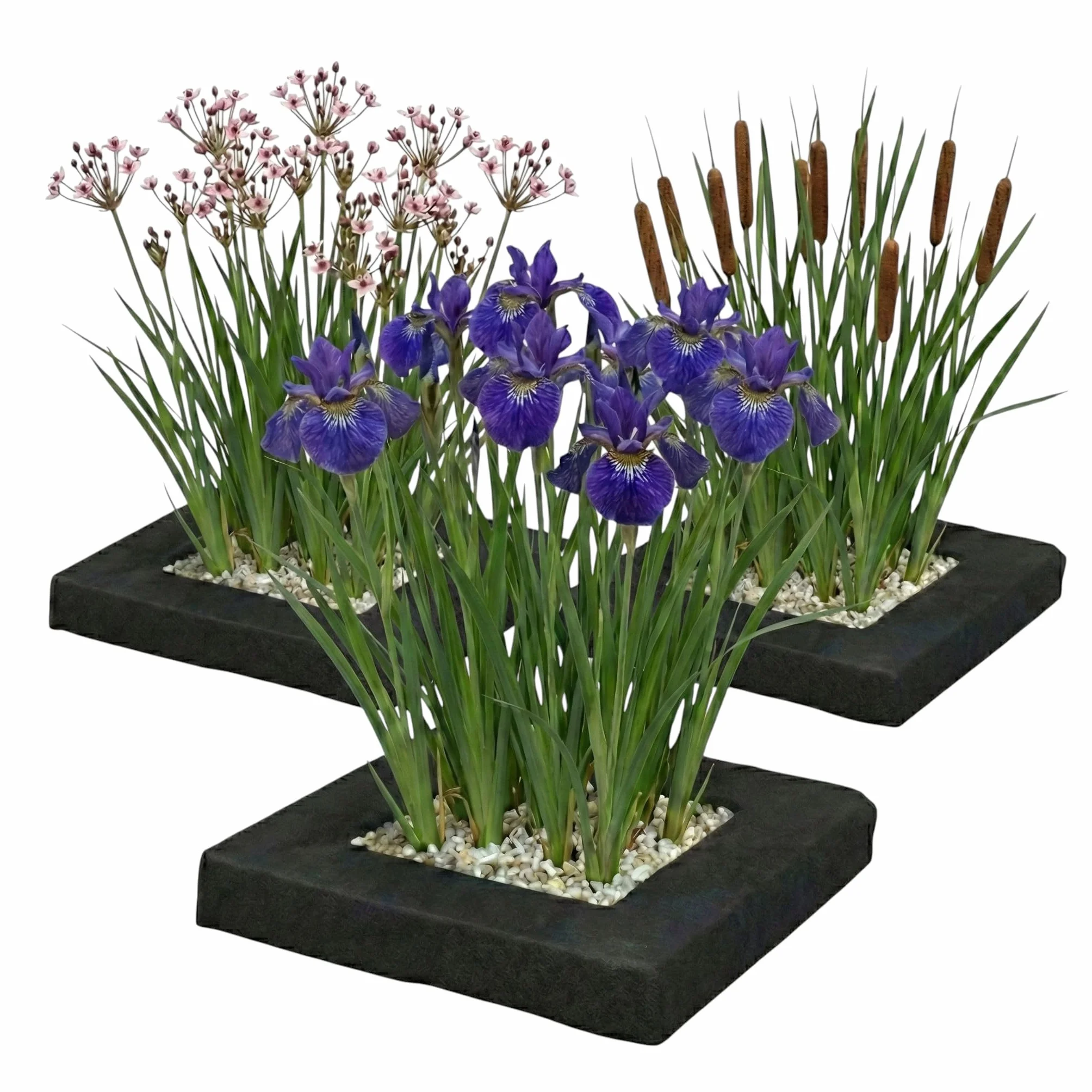Set de Islas Flotantes para Estanque, Pack de 3 con 12 Plantas Acuáticas, Kit Completo con Cesta de Plantación