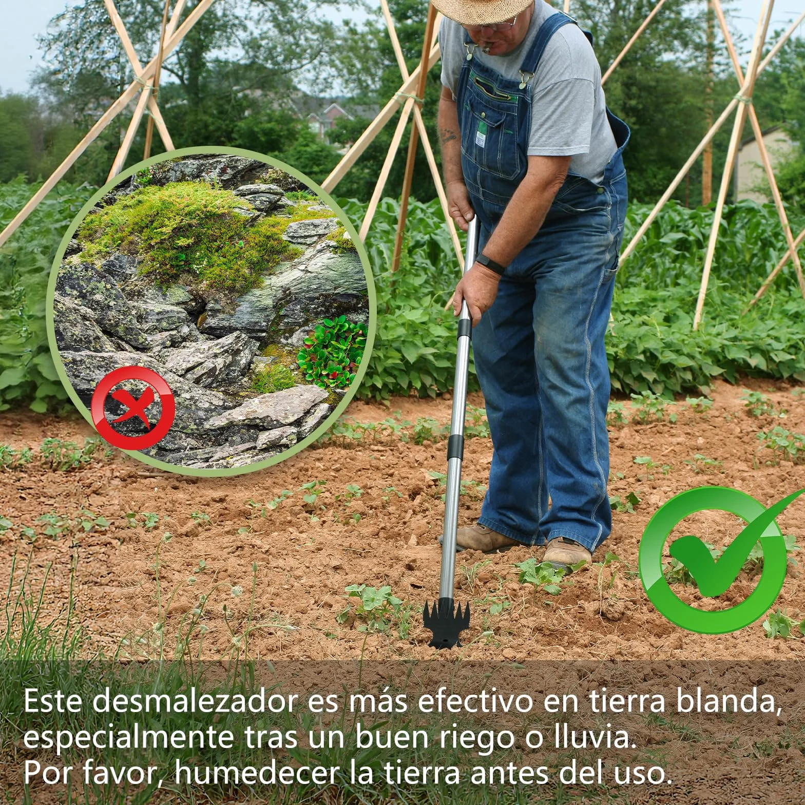 Mitclear Extractor de Malezas Mango Largo 148cm 2 en 1 Rastrillo Azada Desmalezador Manual