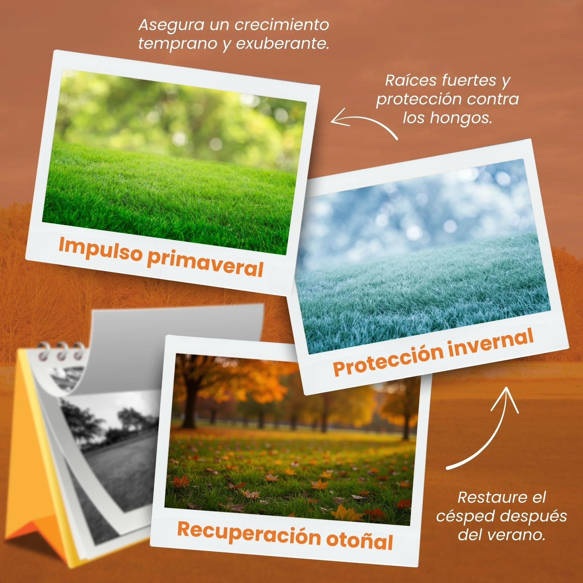 LERAVA® Abono césped Otoño 185 m² Fertilizante Liberación Lenta 100% Nitrógeno