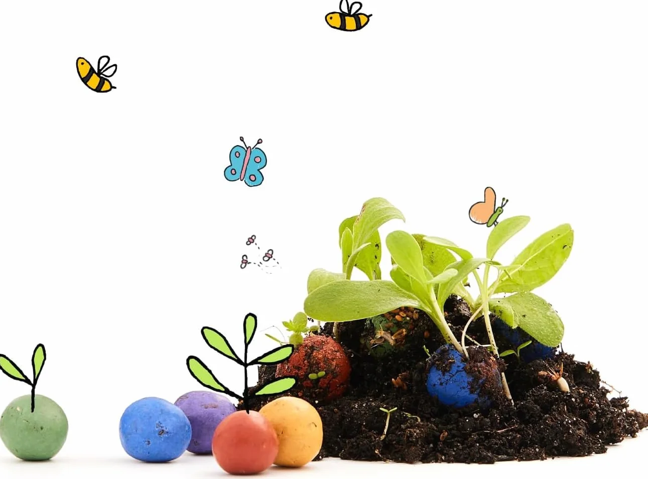Canicas de flores ecológicas 25 bolas colores semillas regalo niños
