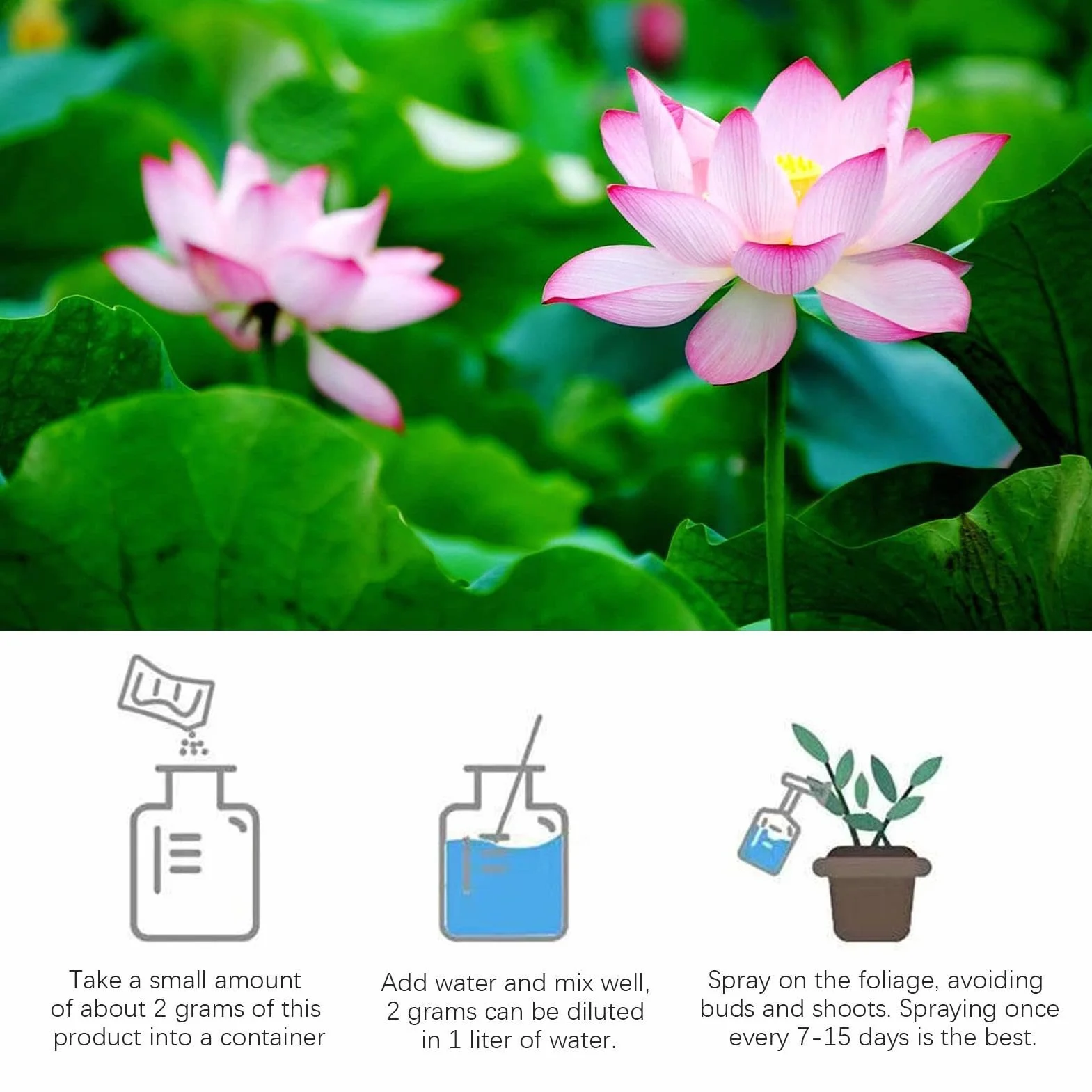 Fertilizante De Nenúfar: Pastillas De Raíz De Nenúfar, Potenciador De Flores Para Un Crecimiento Saludable | Alimento Eficaz Para Plantas De Acuarios Y Estanques, Fertilizante Para Plantas Acuáticas P