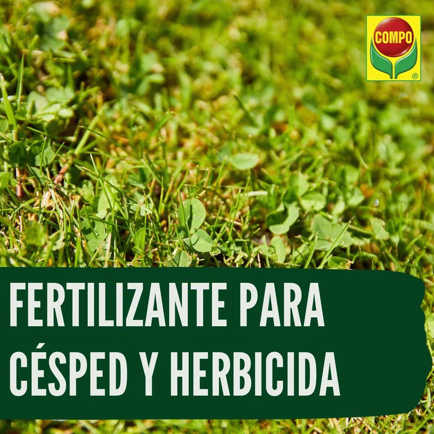 Compo Abono para césped con herbicida 12 kg 400 m² Primavera