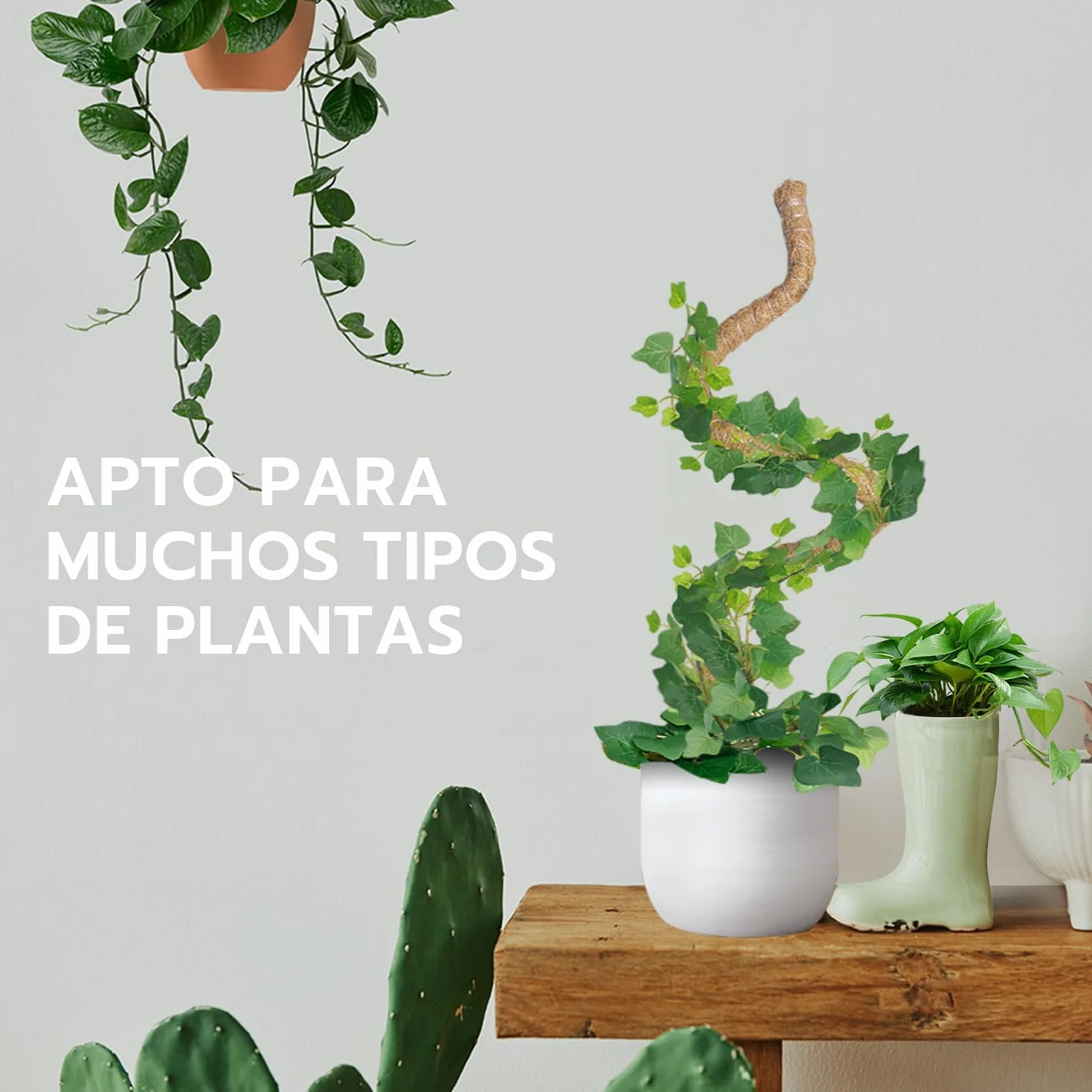 Mcbazel Tutor Plantas Trepadoras 120 cm Soporte Planta Coco Plegable 7 mm