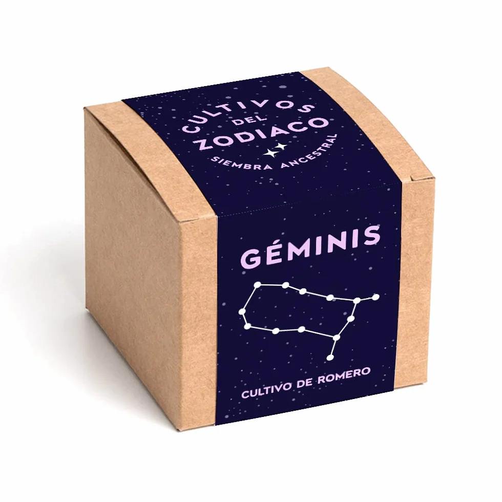 Cultivos del Zodiaco Géminis Semillas de Romero Kit de cultivo con bomba de semillas sustrato y maceta Regalo original horóscopo