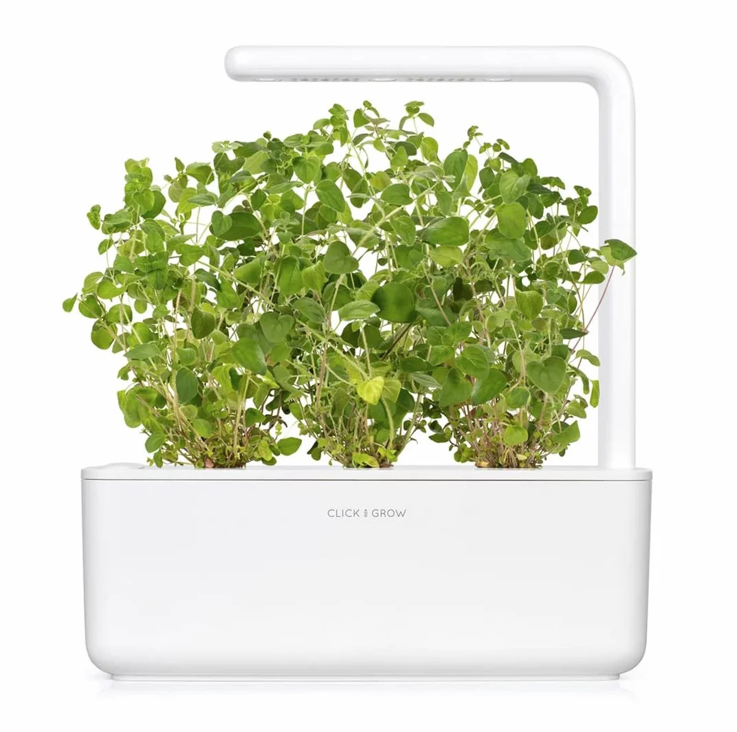 Click & Grow Recambio Cápsulas de Cultivo de Orégano, Kit de 3
