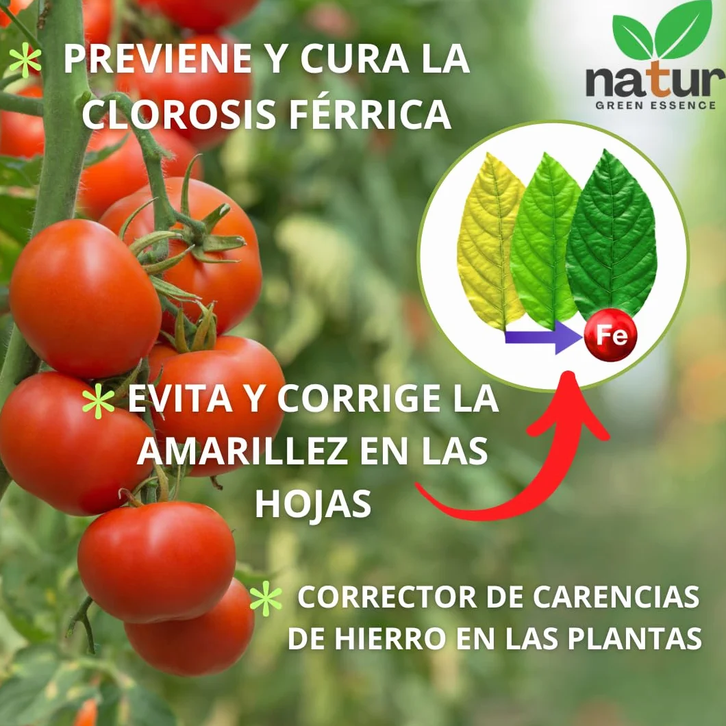 QUELATO DE HIERRO EDDHA 6% Fe Fertilizante ecológico Anticlorosis 100g