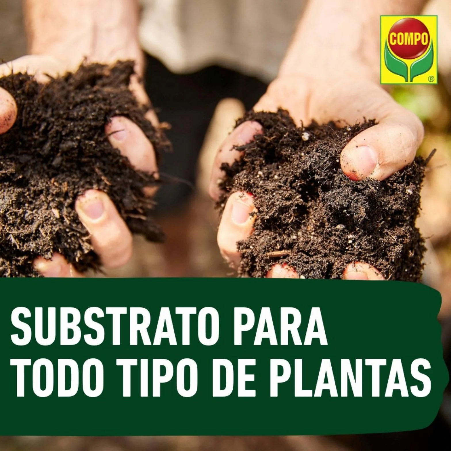 COMPO SANA Substrato Universal 10 L para Plantas de Interior, Terraza y Jardín