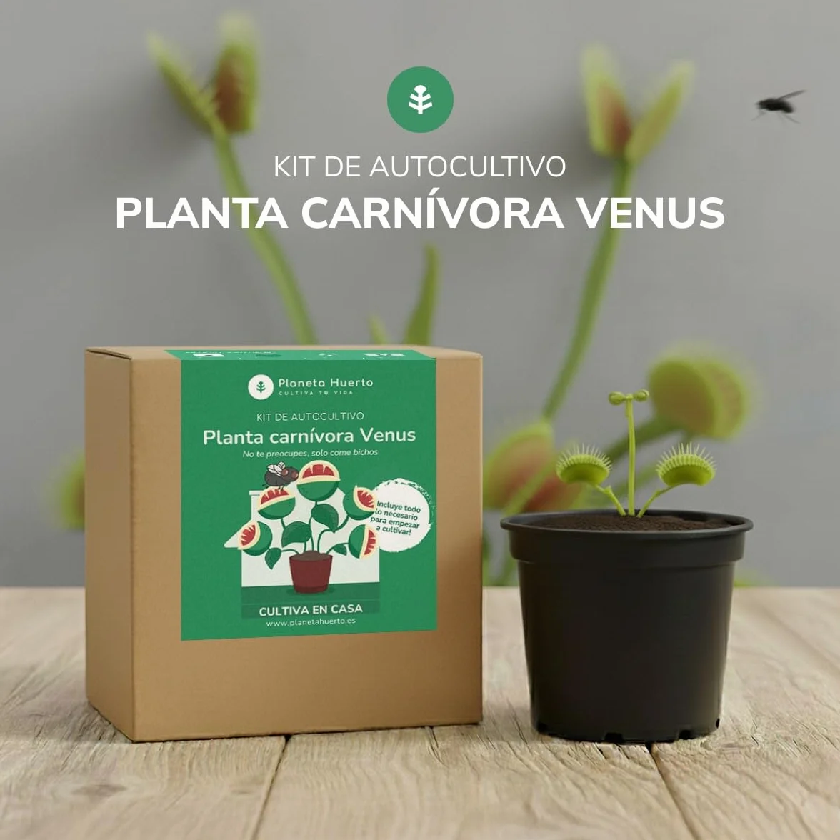 Planeta Huerto Kit de Autocultivo Planta Carnívora Venus Atrapamoscas