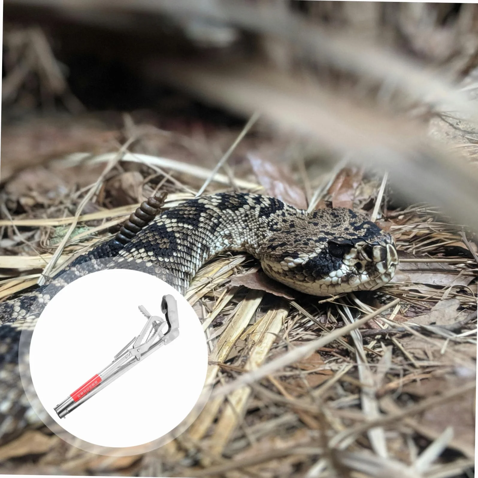 Alipis Pinza Multiusos Inoxidable para Cangrejos y Eels Herramienta de Pesca