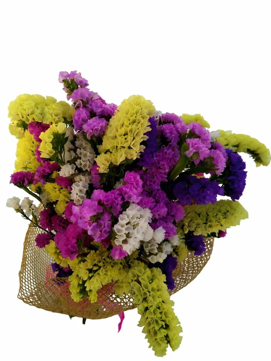 Ramo Flor Seca SIEMPREVIVA Flores