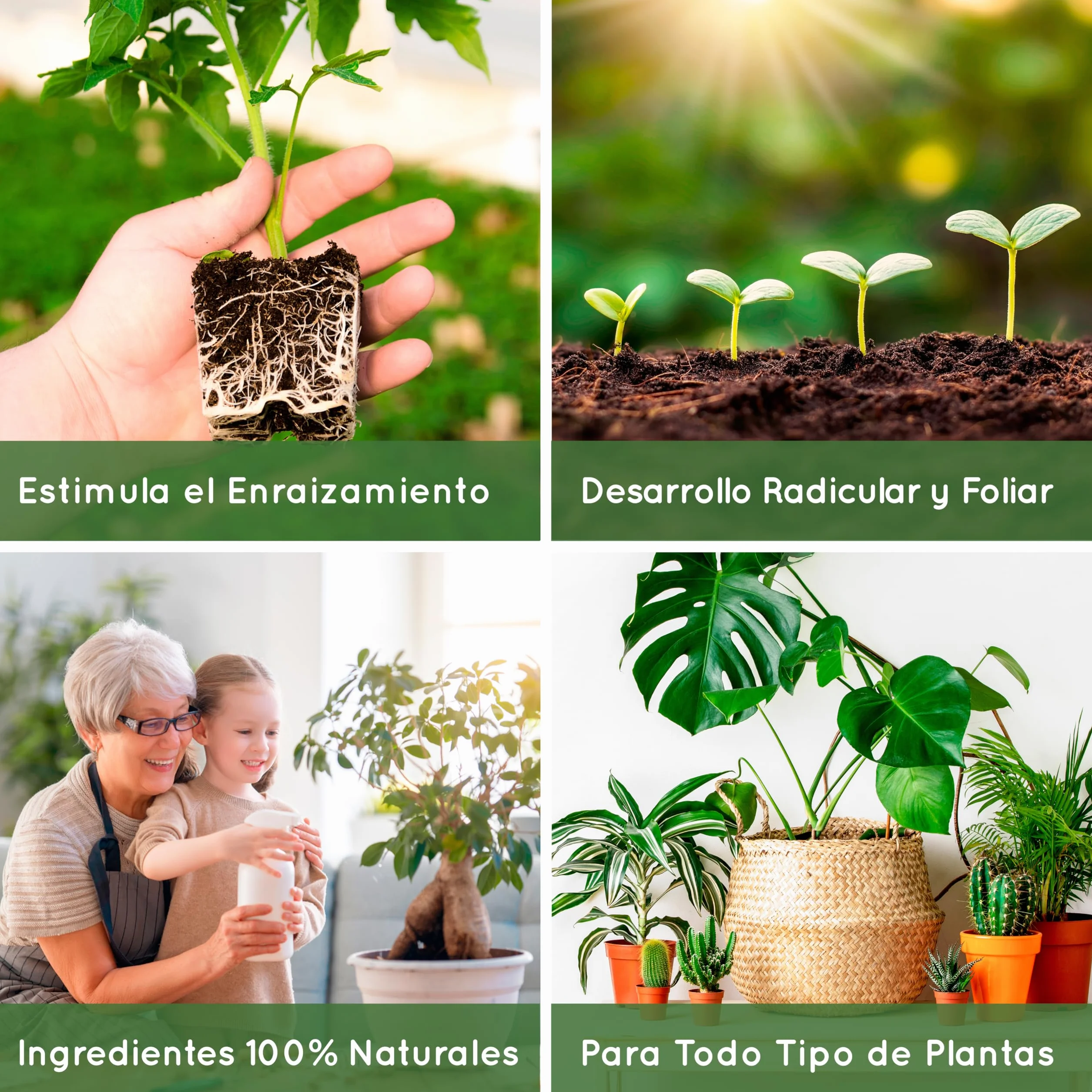 Enraizante para esquejes 500ml Bioestimulante para plantas y flores