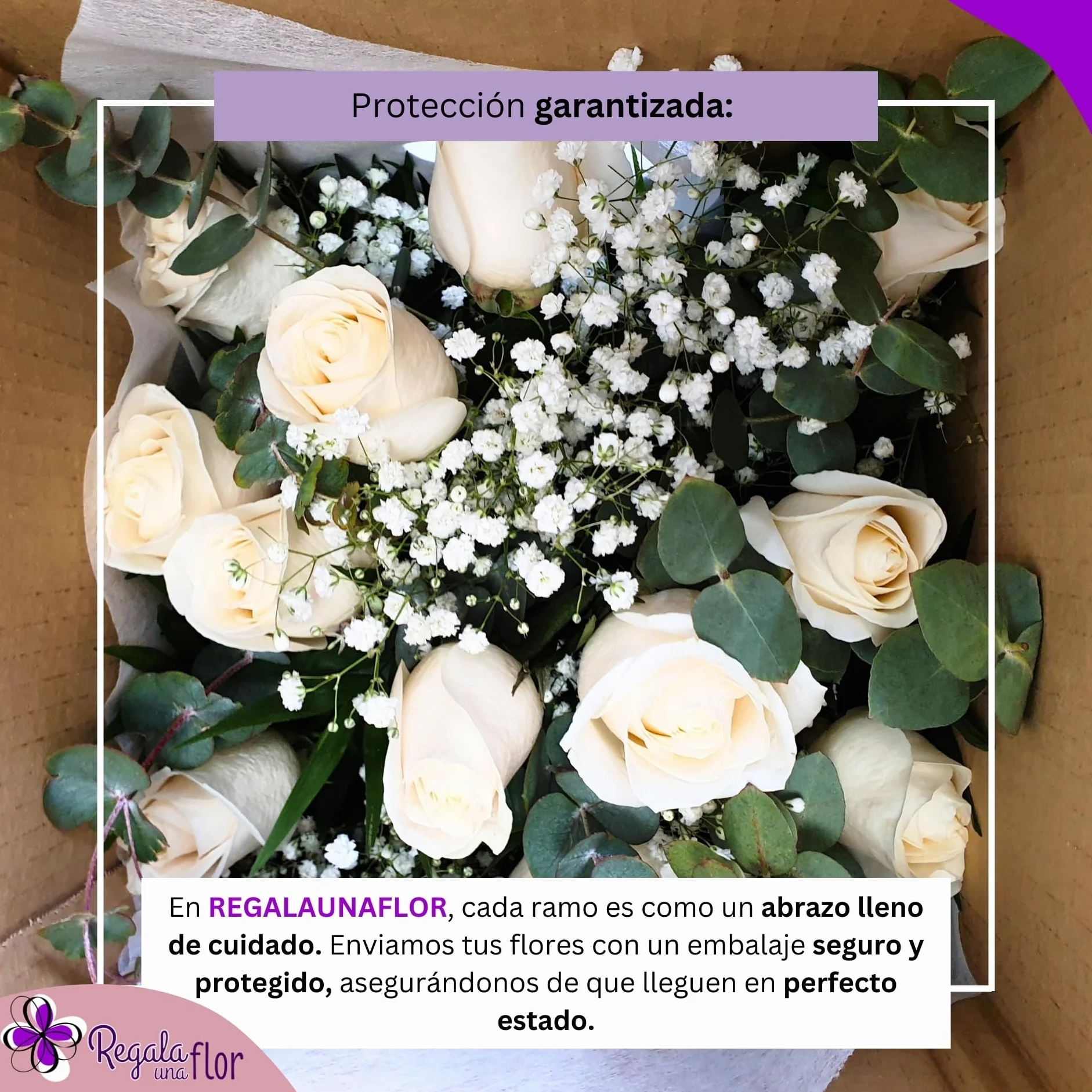 Ramo de flores naturales a domicilio 12 rosas blancas con tarjeta dedicatoria