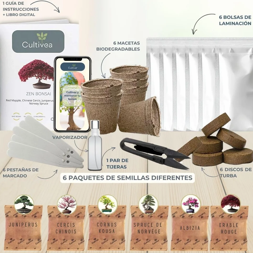 CULTIVEA® Kit de 6 Bonsái para cultivar - Arce rojo, Cercis chino, Albizia, Cornejo kousa, Abeto de Noruega