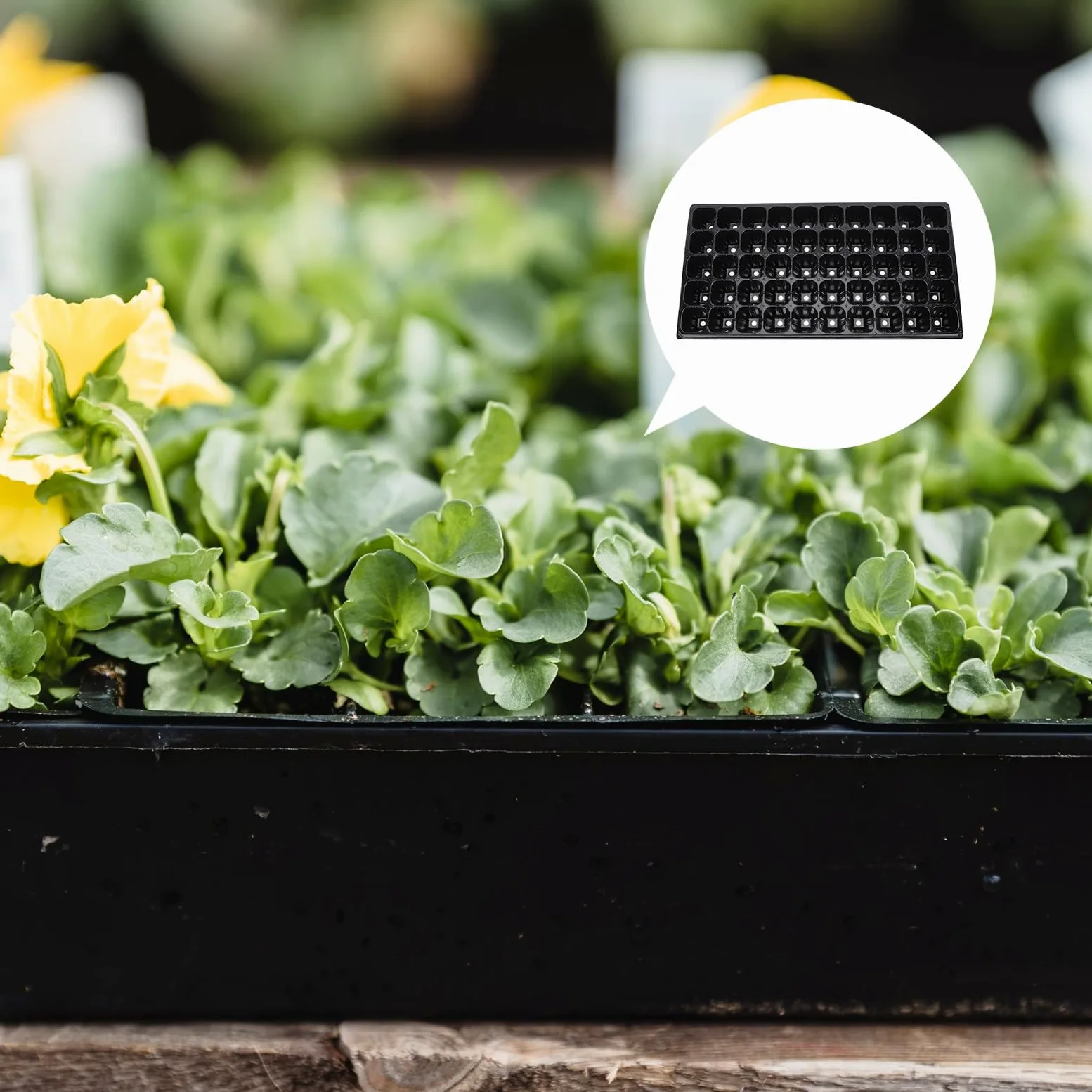 Olla para Plantar Jardín Diseño de 50 Agujeros, Bandeja de Germinación de Plantas Resistente Sequía y Material PP, Paquete de 10 Piezas para Cultivo Estable