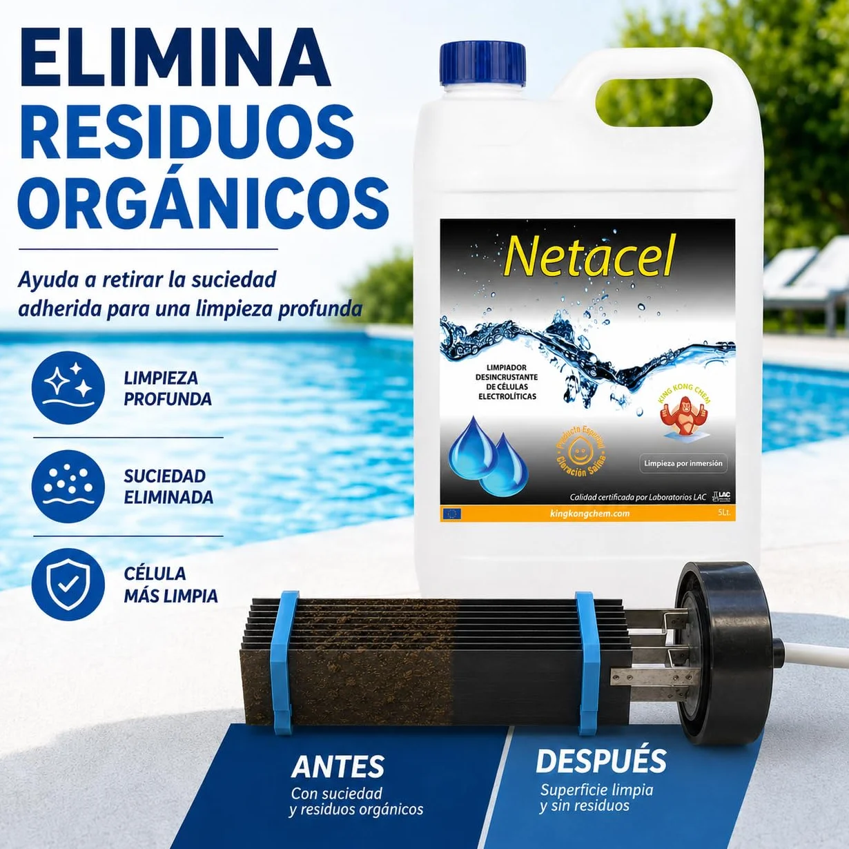 NETACEL 5 litros Limpiador desincrustante para célula clorador salino