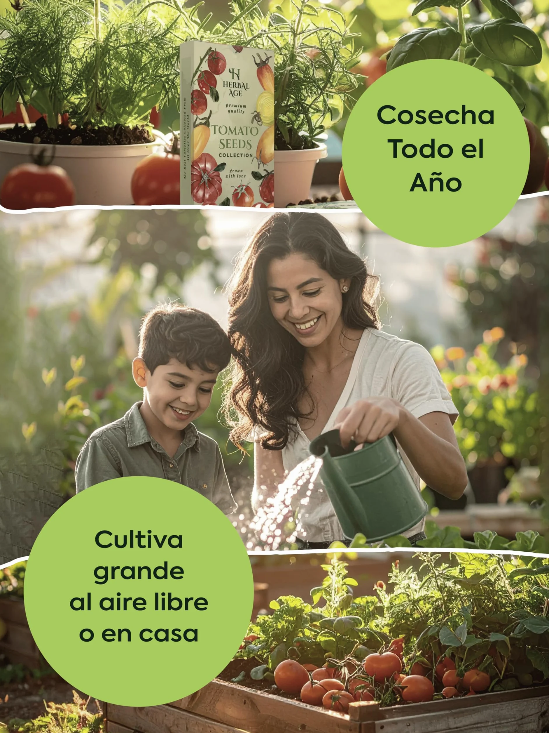 Kit Plantas Aromáticas 12 Variedades – 8700 Semillas Hierbas Frescas para Cultivar en Casa Interior, Jardín