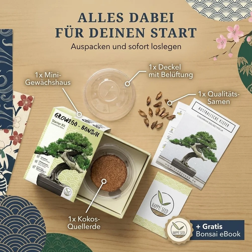 GROW2GO Bonsai Kit Set con Mini Invernadero, Semillas y Tierra - Pino Australiano