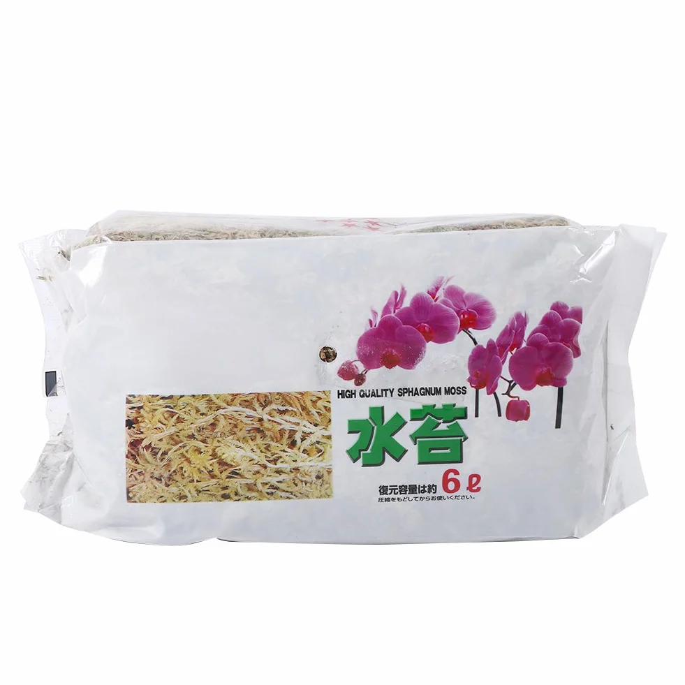 Musgo de Fertilizante Orgánico para Phalaenopsis Orchid Sphagnum Moos 6L