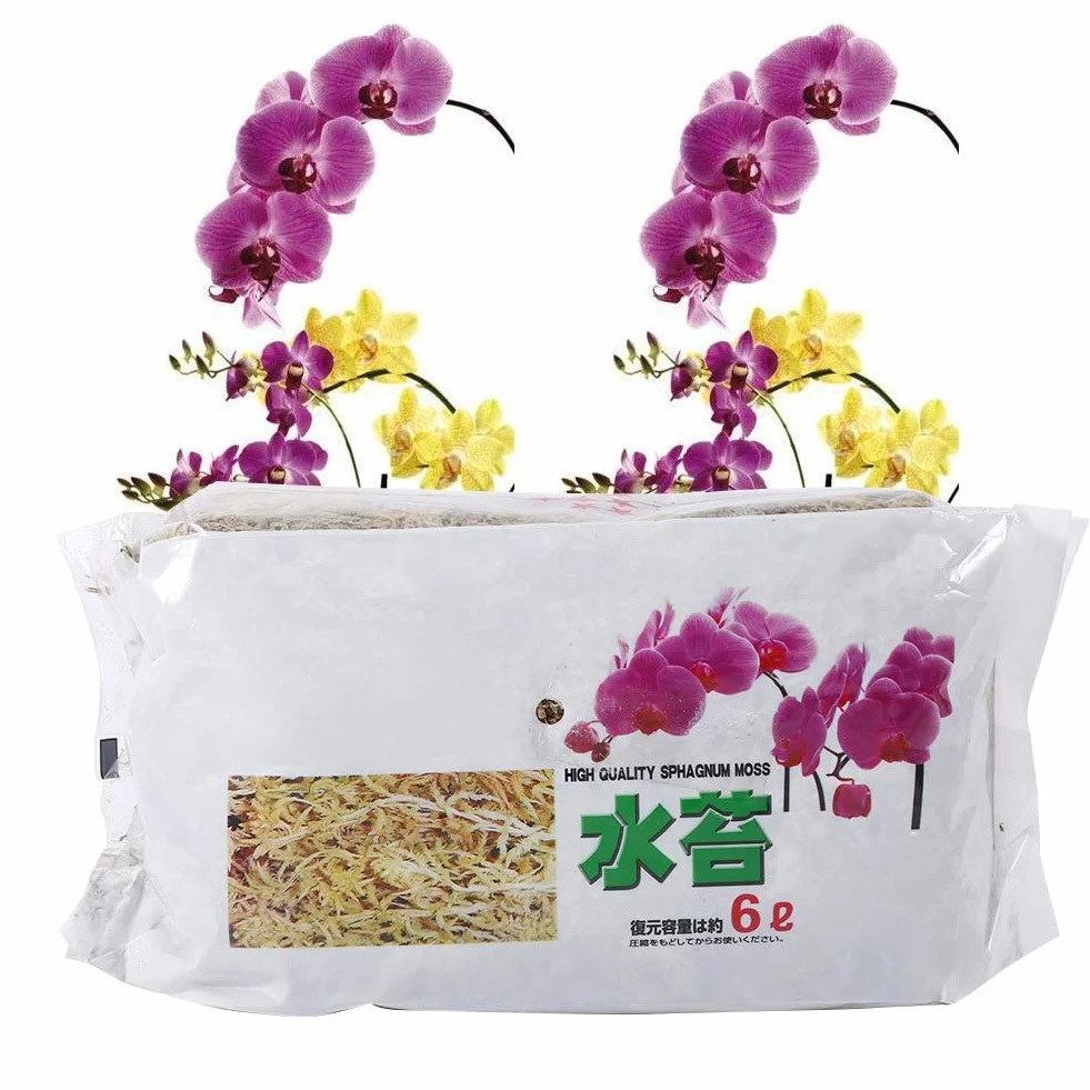 Musgo de Fertilizante Orgánico para Phalaenopsis Orchid Sphagnum Moos 6L