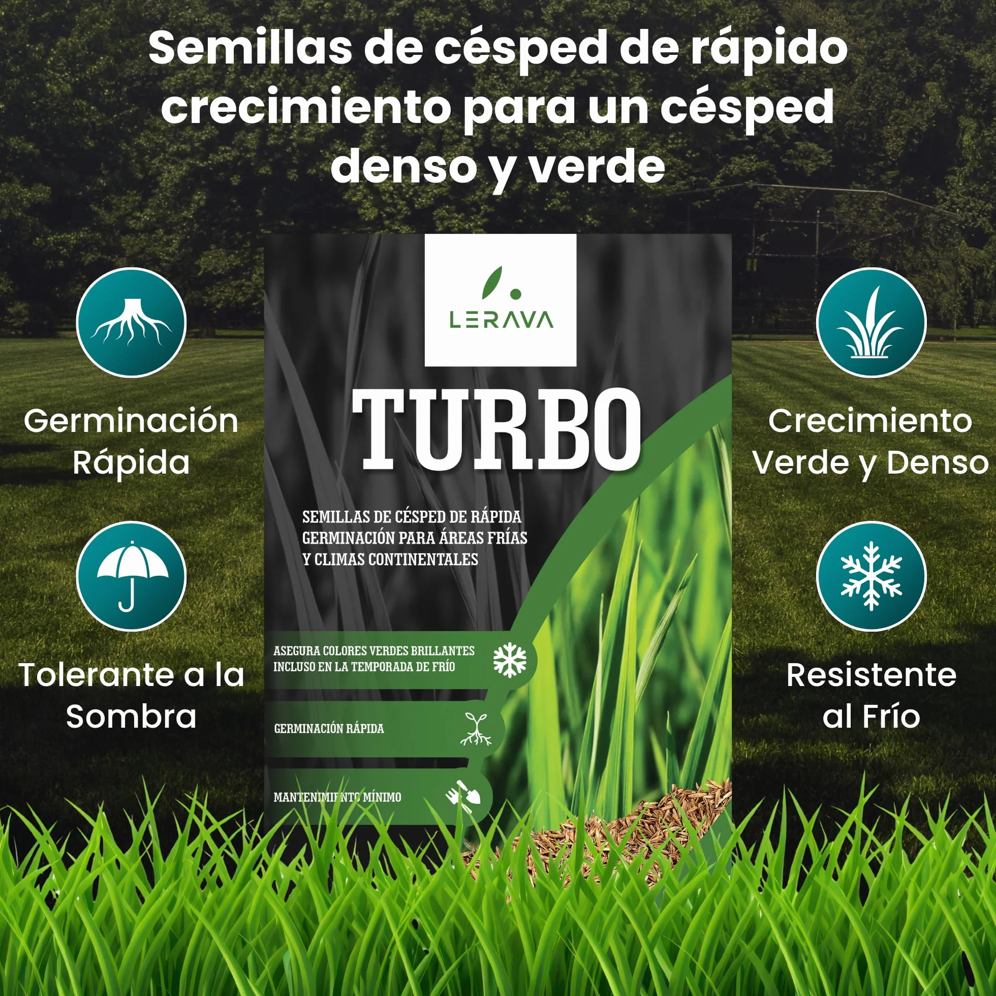 LERAVA TURBO Semillas de césped de germinación rápida 10 m² - brotación en 4-10 días - verde brillante