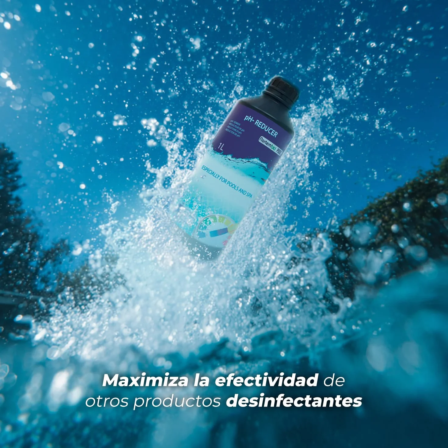 NortemBio Pool pH Minus, Reductor pH Liquido, Disminuir pH Piscina y SPA, Regulador y Equilibrador pH, Mejora la Calidad del Agua de Forma 100% Natural 1 L