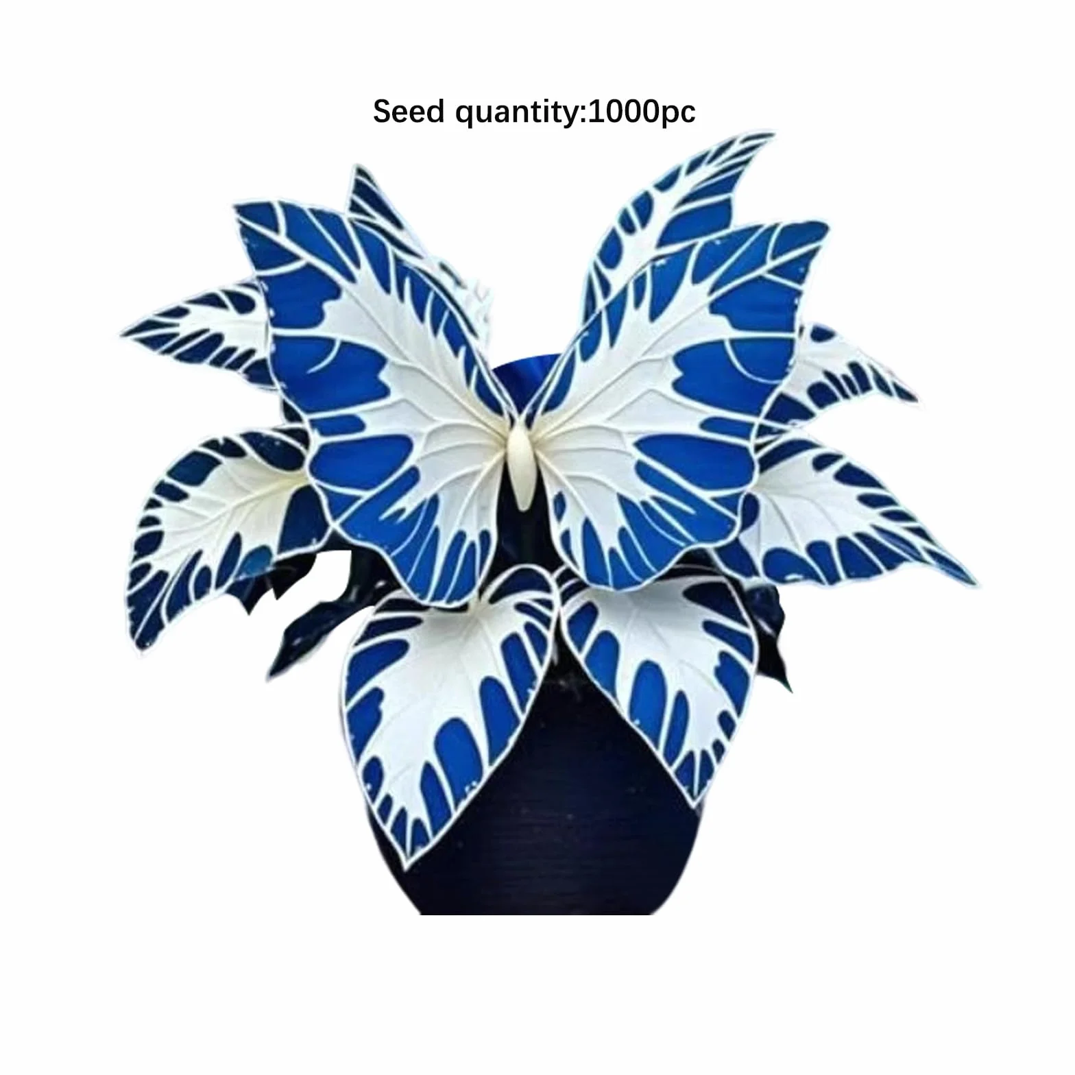 Hosta rara Oreja de Elefante Resistente Perenne Hojas Grandes 1200PCS Plantación de interior y exterior