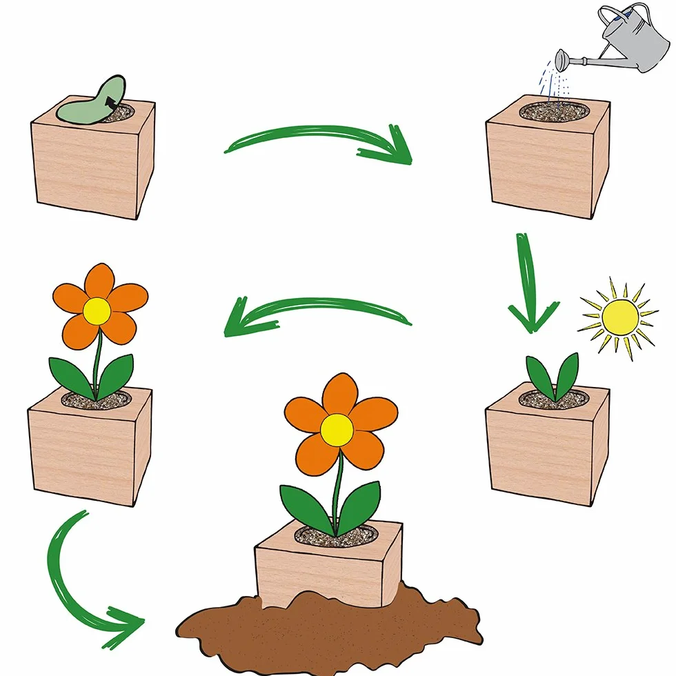 Feel Green Ecocube Forget-Me-Not, set de cultivo sostenible, plantas en cubos de madera, fabricado en Austria