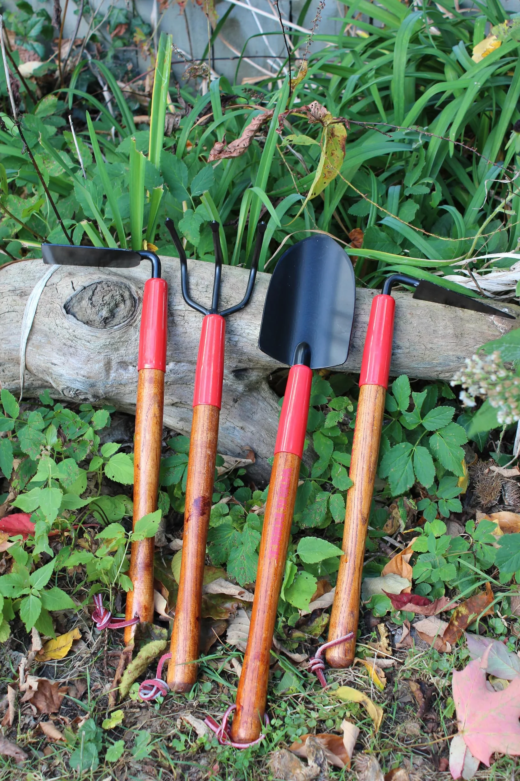 Emsco Group 1666-1 15 Pulgadas Forjado 3 Dientes cultivador Miniatura Herramientas de jardinería, Madera