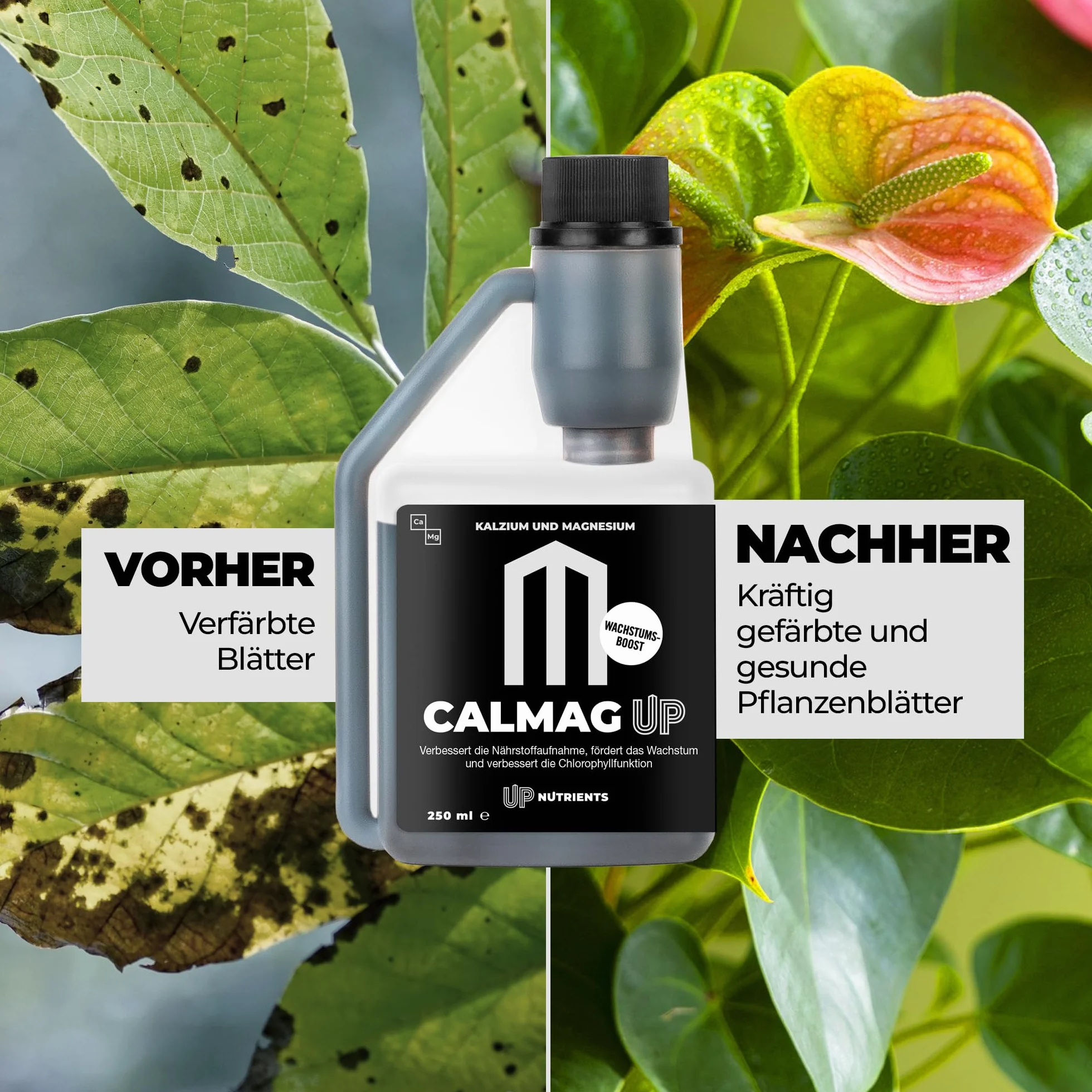 UP NUTRIENTS Calcio y Magnesio CALMAG UP 250 ML Fertilizante Orgánico para Plantas y Cultivos