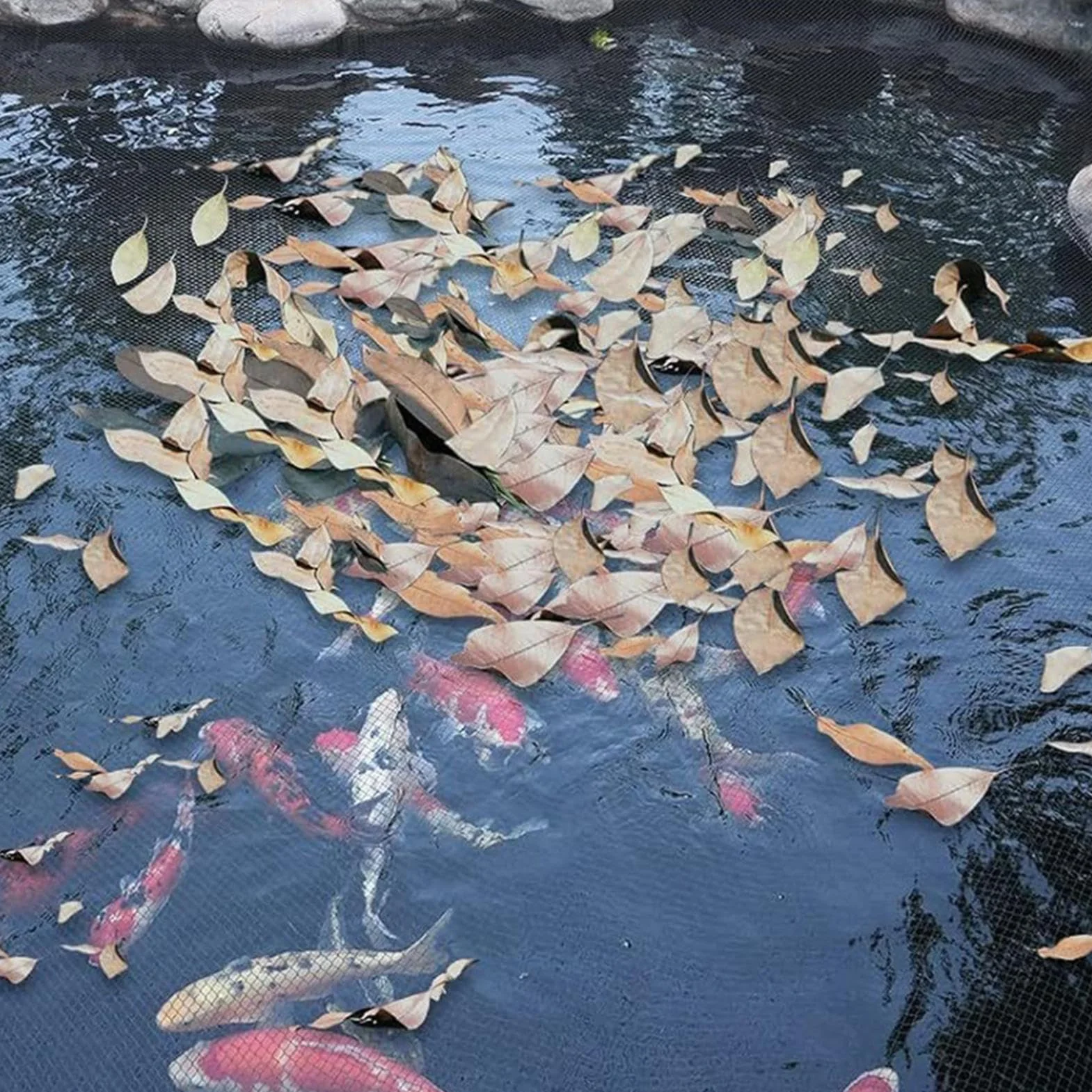 Red de protección de jardín, 4 x 10 m, red de barrera para pájaros para árboles frutales, huertos y estanques, malla antipájaros duradera para espacios al aire libre y recintos de aves de corral