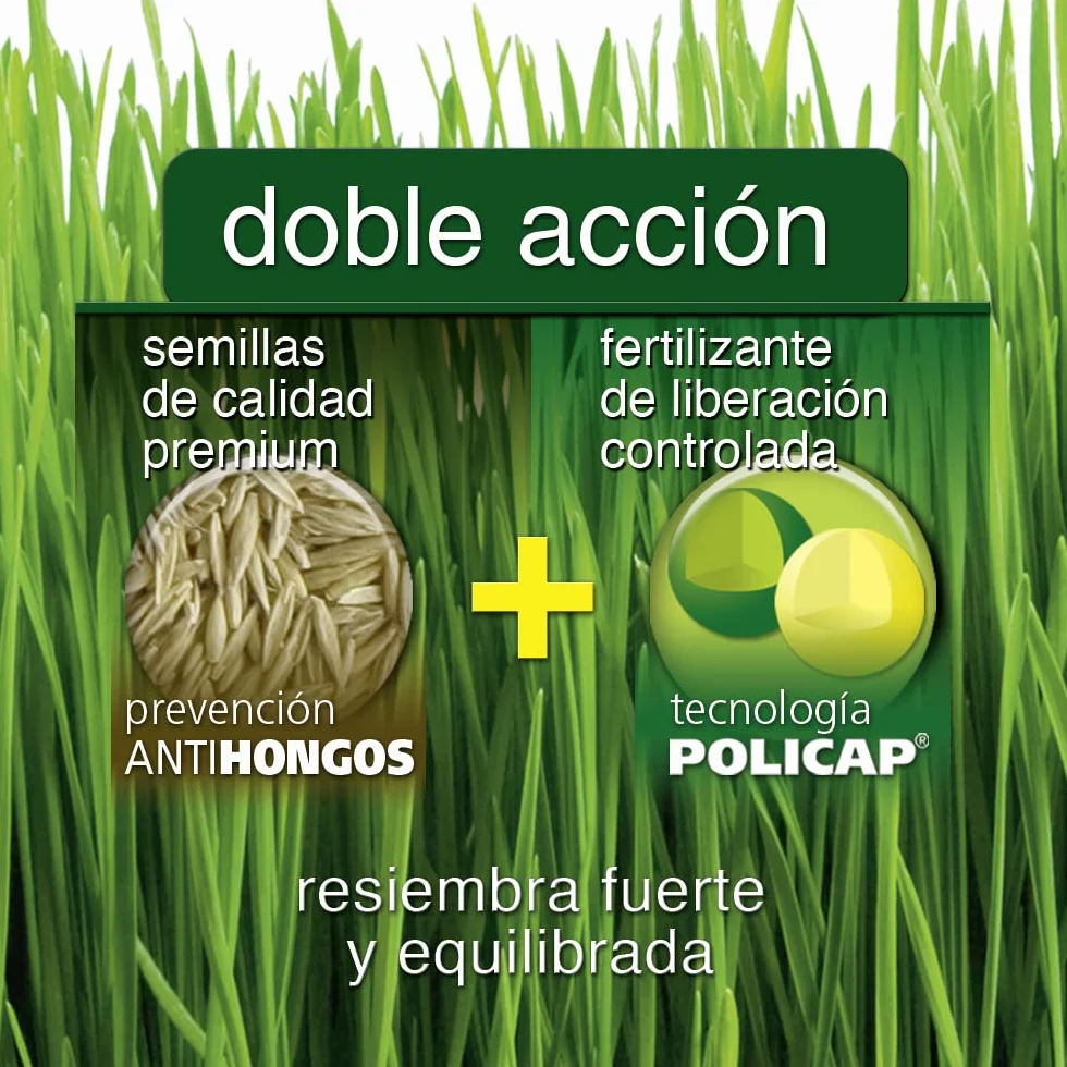 Flower Regenerador Césped Liberación Controlada 6 Meses Abonado Continuo 500 g
