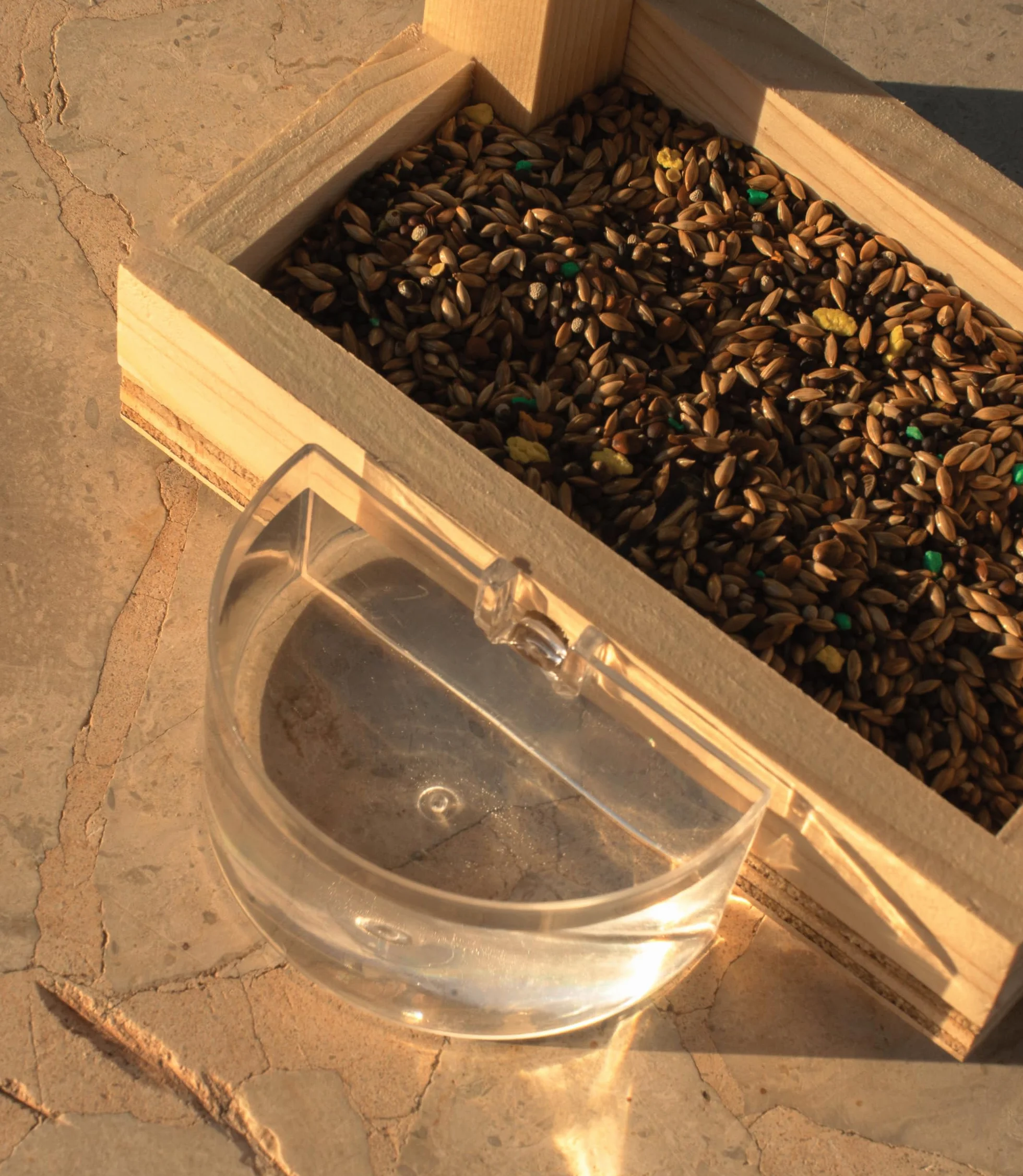 Comedero Pájaros Exterior Ventana Madera Casita con Soporte Ventosas Incluye Bebedero Bolsa 70g Alpiste Aves Silvestres